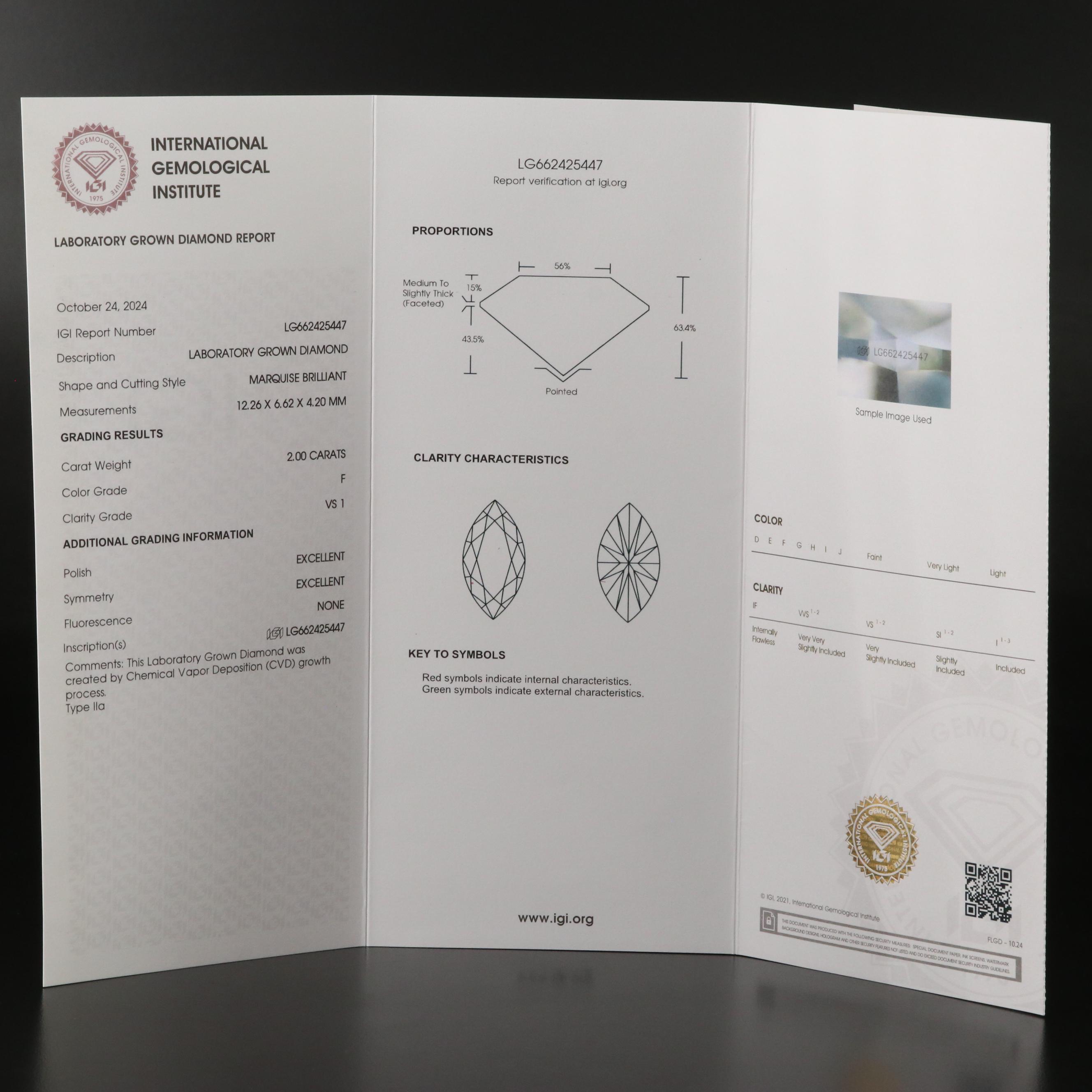 Platinum 4.03 CTW Lab Grown Stud Earrings with IGI Reports