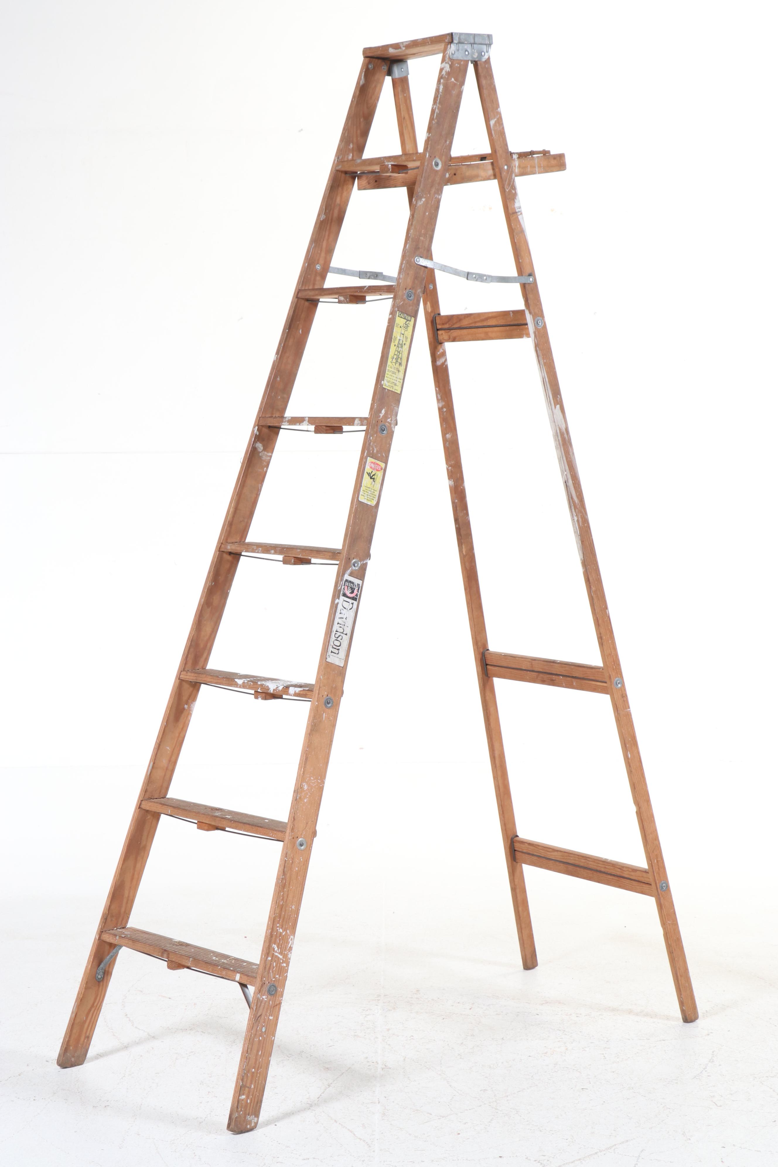 Werner Model W366 and Davidson Wooden Ladders