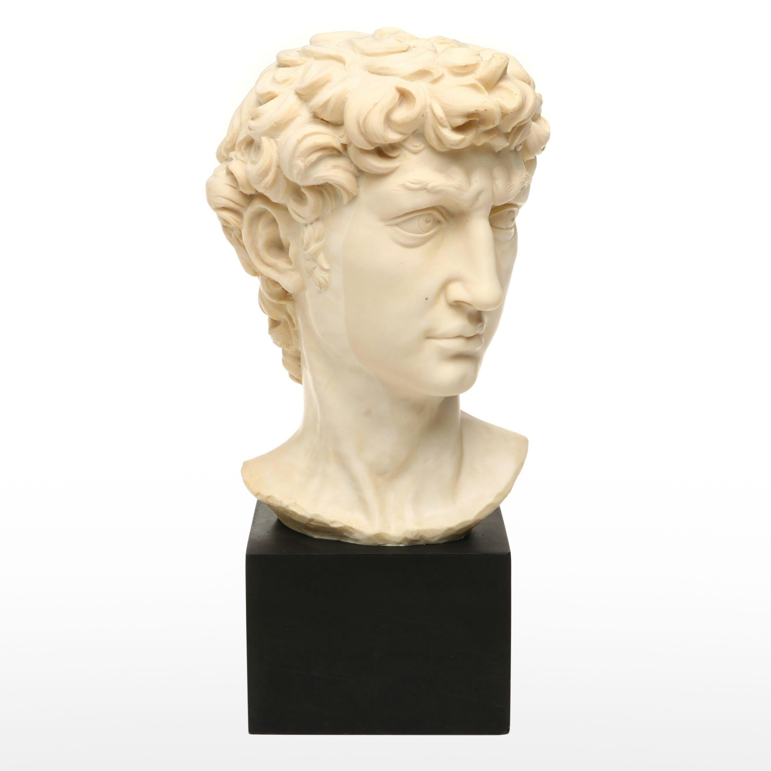 A. Santini After Michelangelo Resin Bust "David"