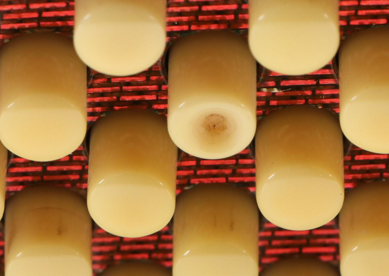 Italo American "Gloria Deluxe" Piano Accordion