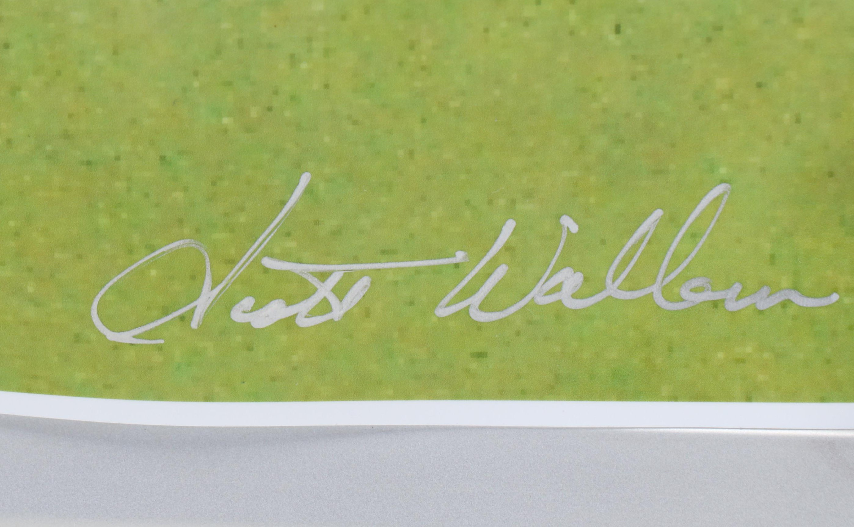 Nine NFL Photo Prints and Posters