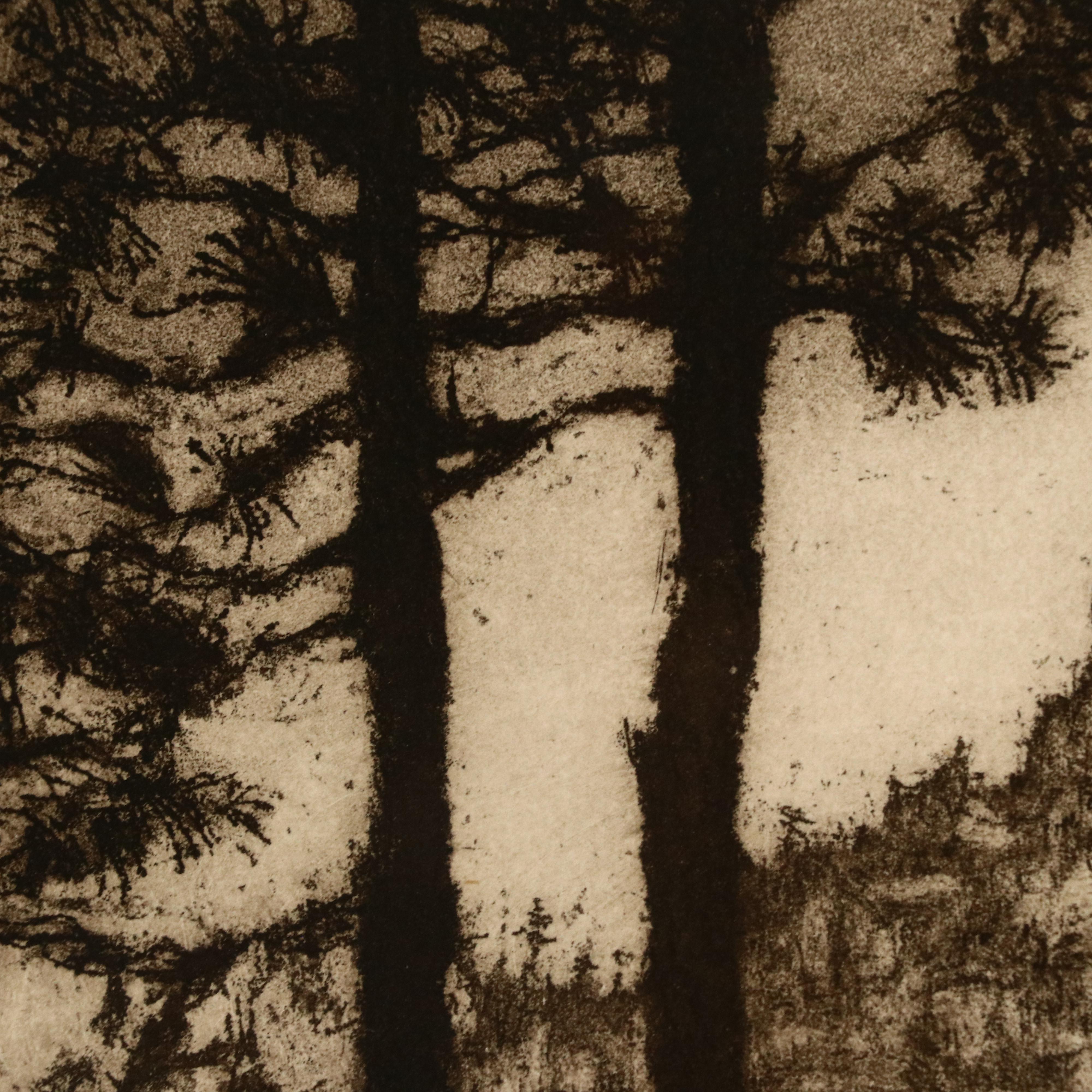 Edward Timothy Hurley Etching "Mt. Adams Through the Pines"