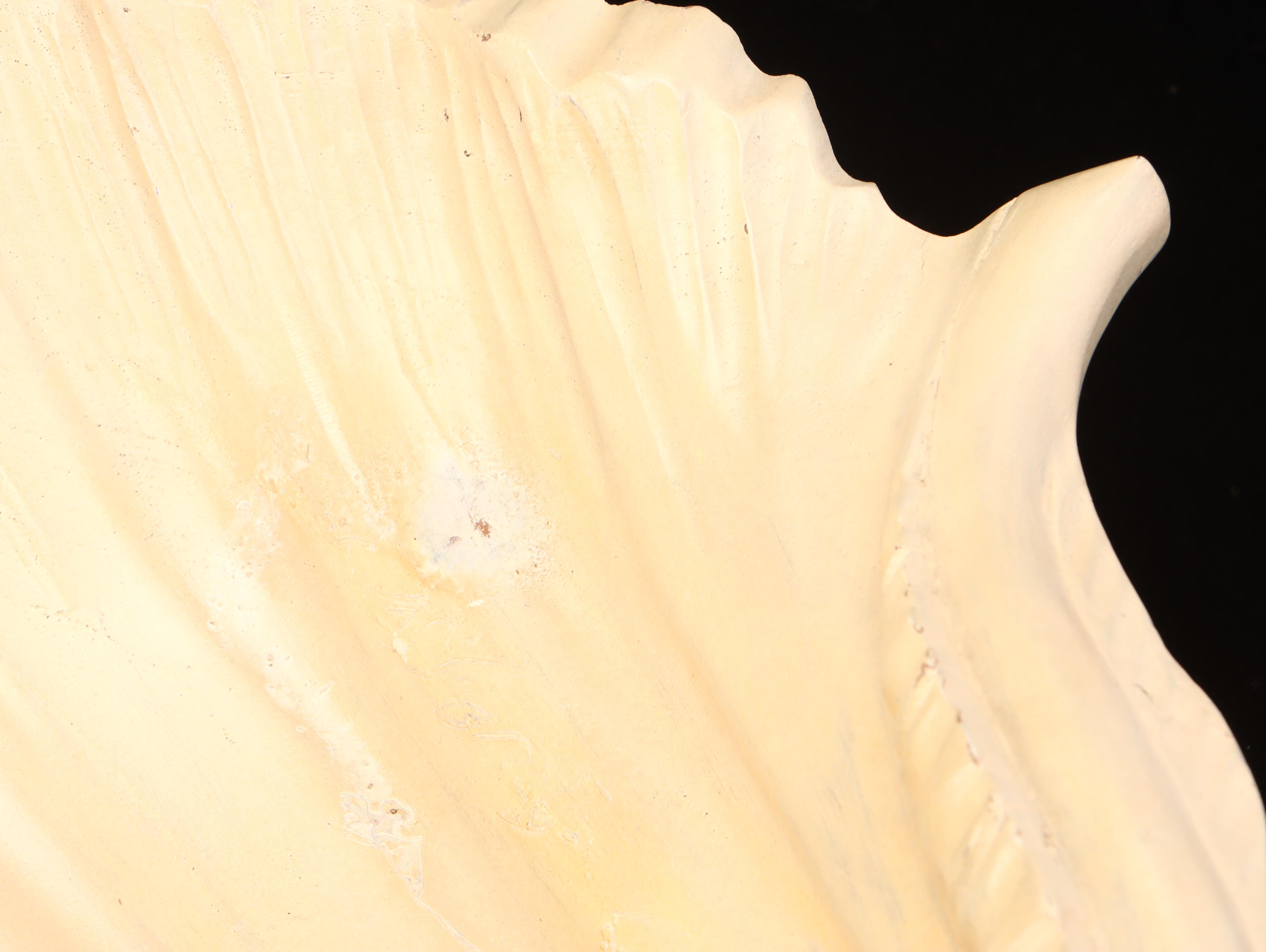 Kenyan Kisli Soapstone Bowl, Shell Centerpiece with Travertine Mortar & Pestle