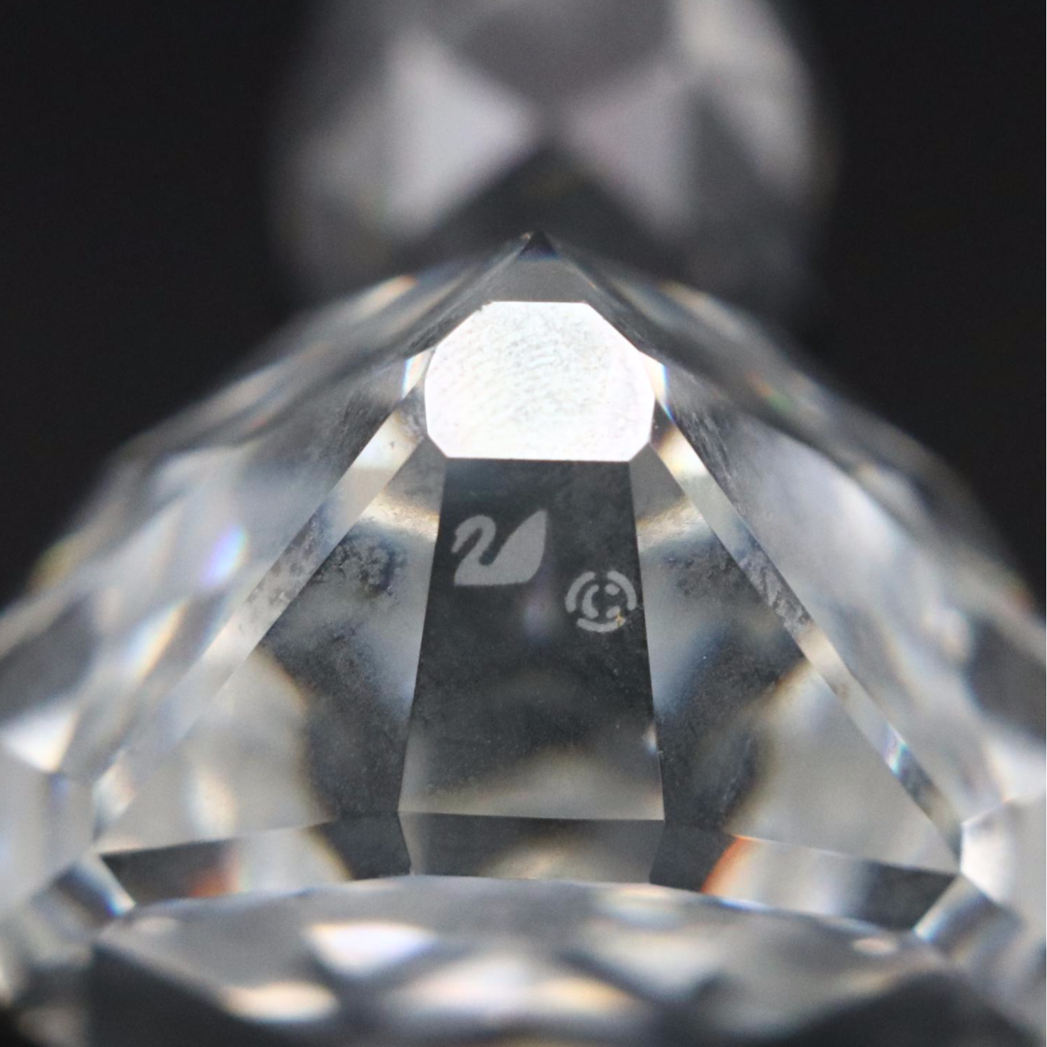 Swarovski Crystal Birds from Beauties of the Lake and Feathered Beauties