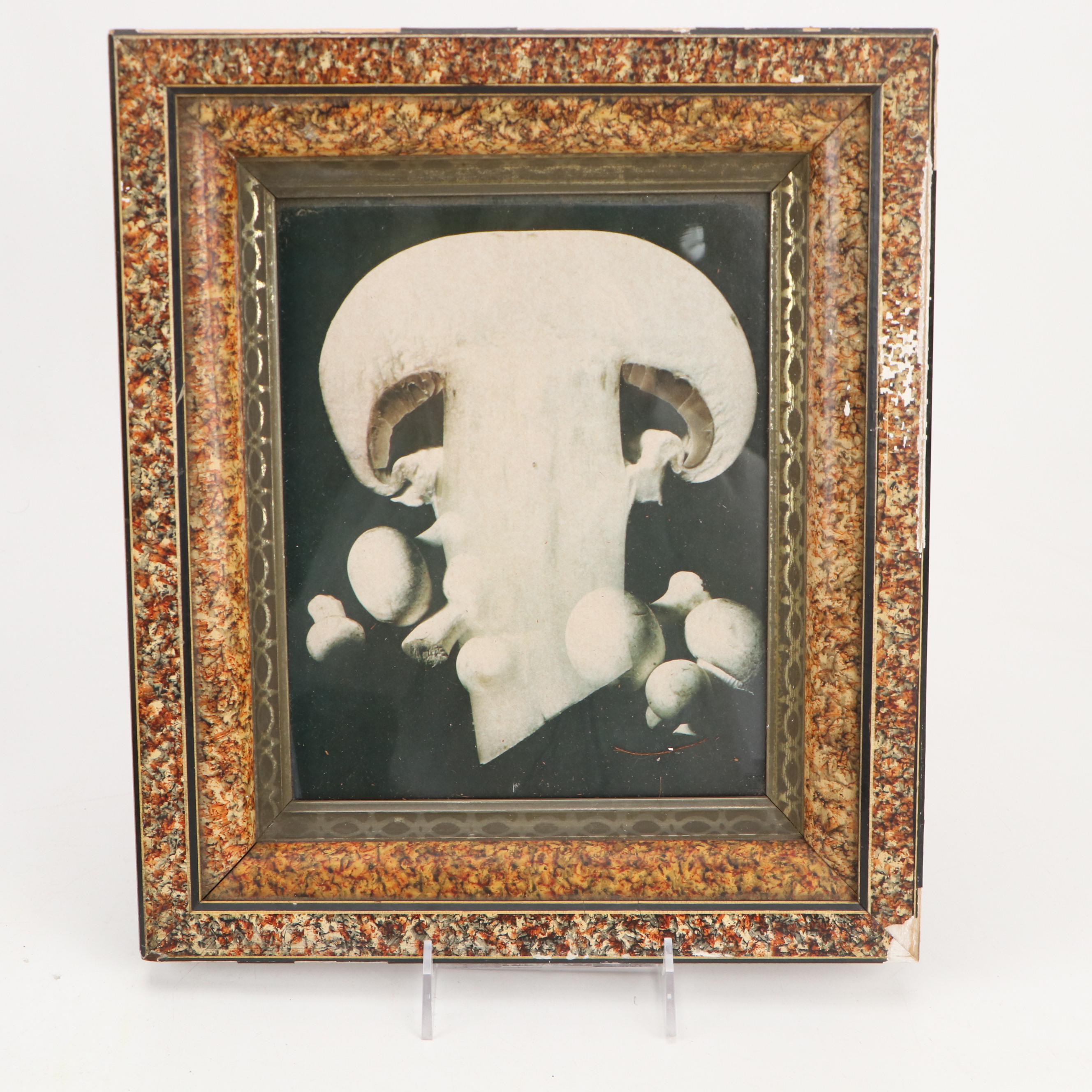 Mini Twig Hearth Broom, Mushroom Wall Art, Woven Reed Orbs and More