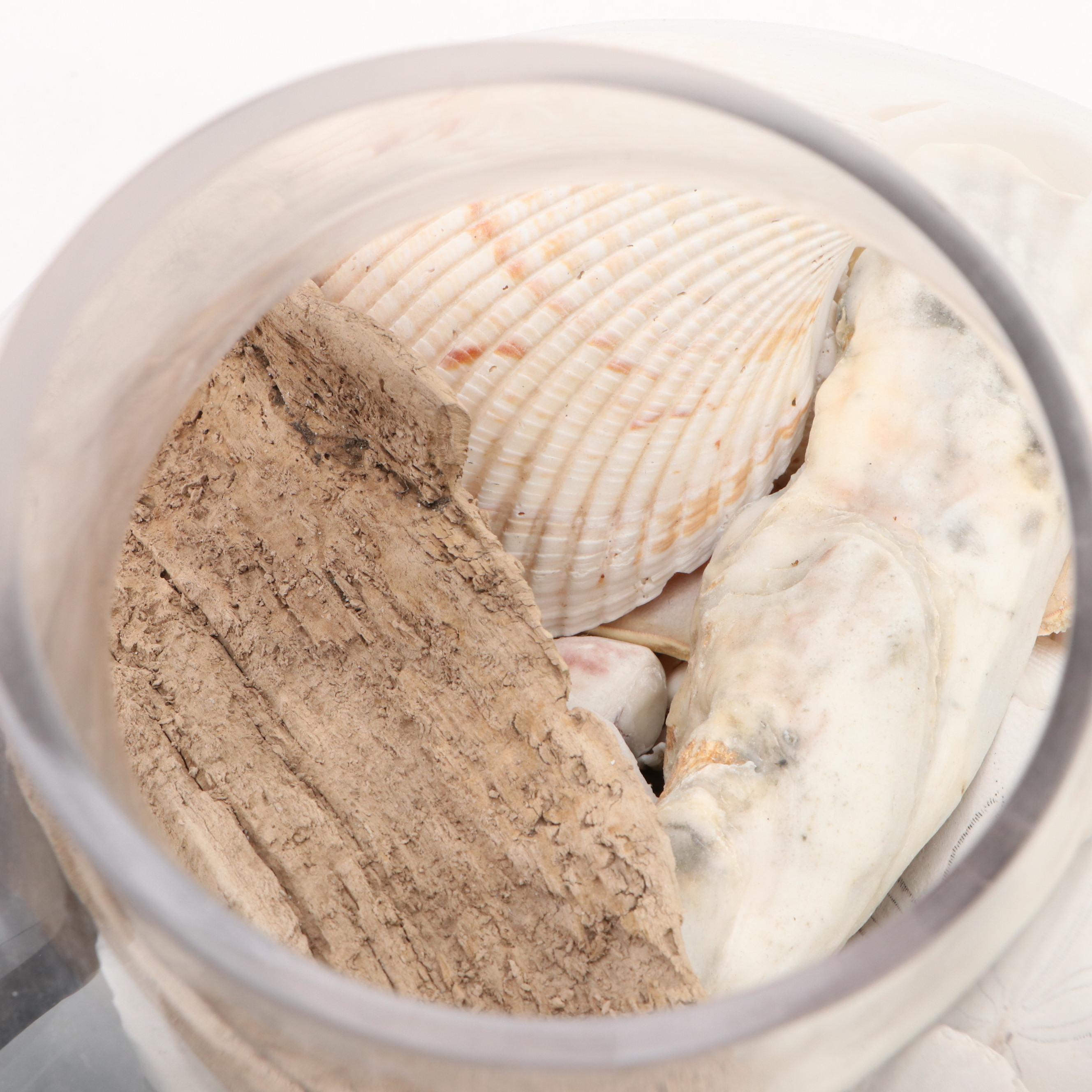 Carved Shorebirds, Seashell Collection with Earthenware Art Pottery Plate, Vase