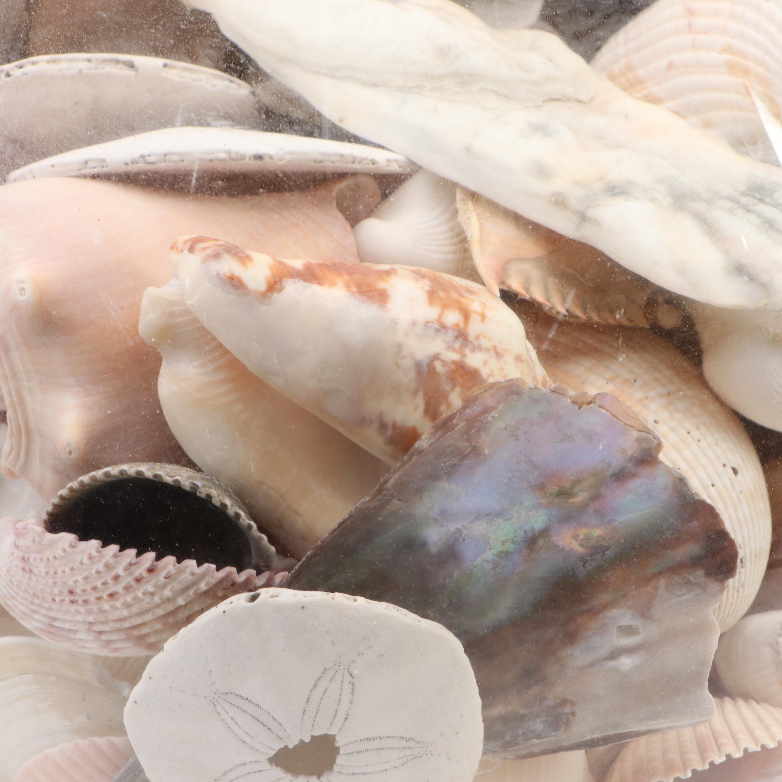 Carved Shorebirds, Seashell Collection with Earthenware Art Pottery Plate, Vase