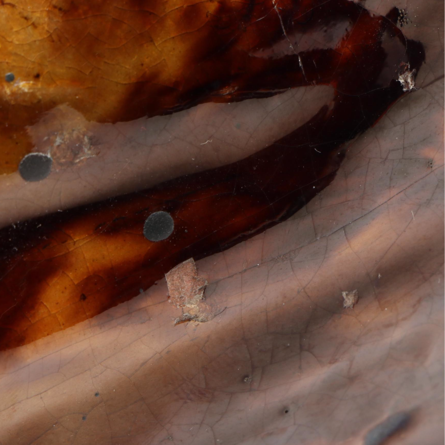 Rockingham Bennington Glazed Spaniel Figurine, Late 19th/Early 20th Century