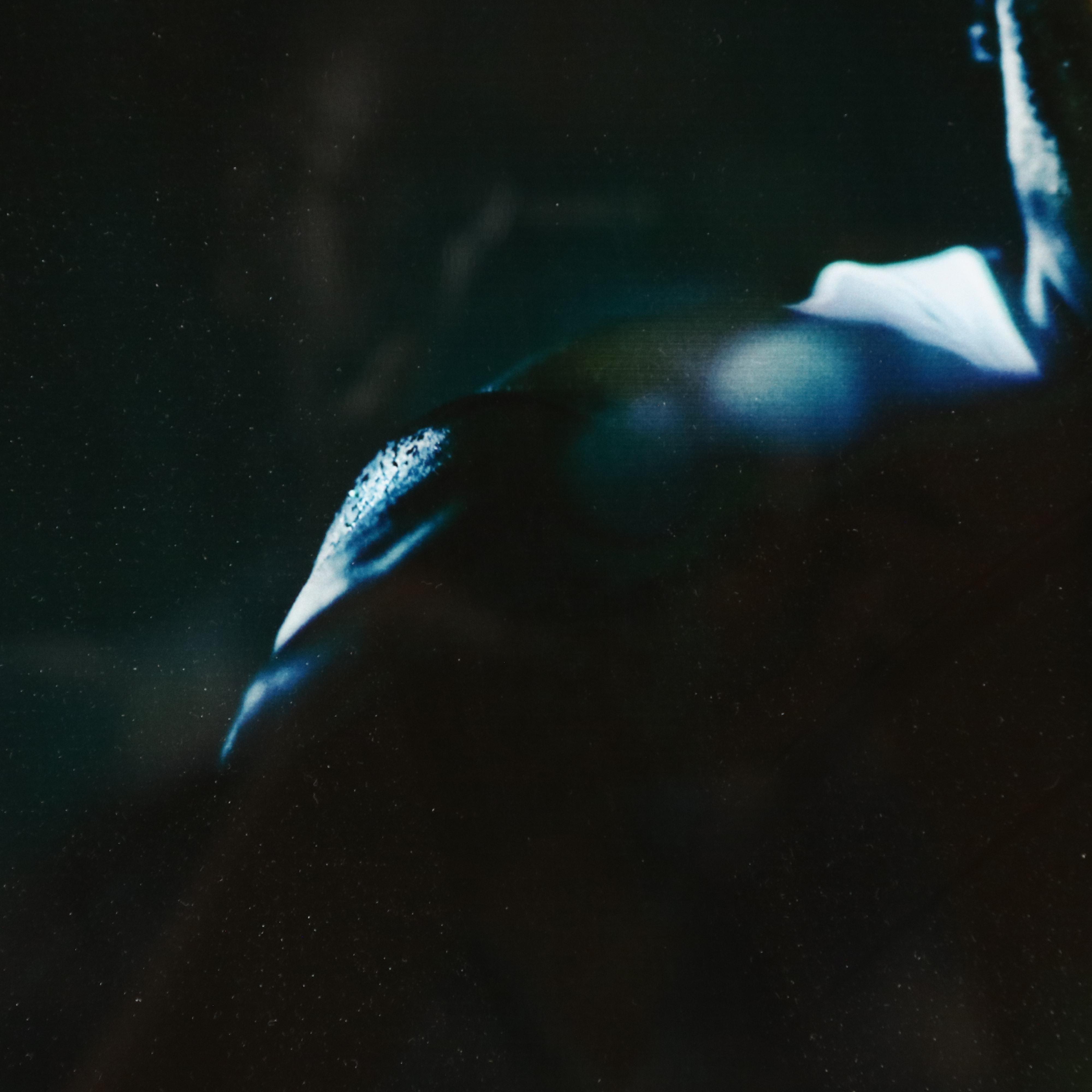 Two Framed Photo Prints of "Mean Joe" Green and Hines Ward