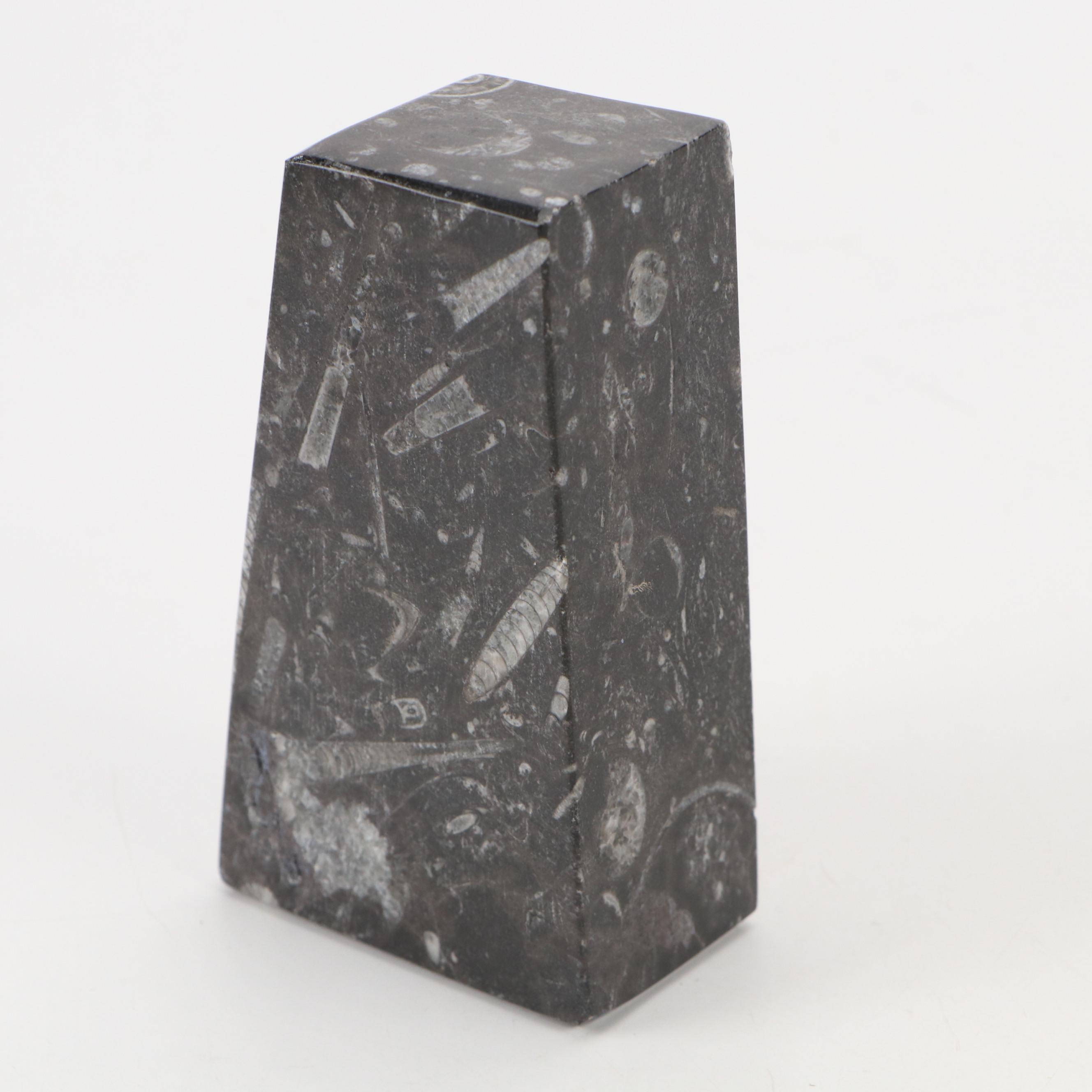 Goniatite Ammonite and Cephalopod Composite Fossil Bookends