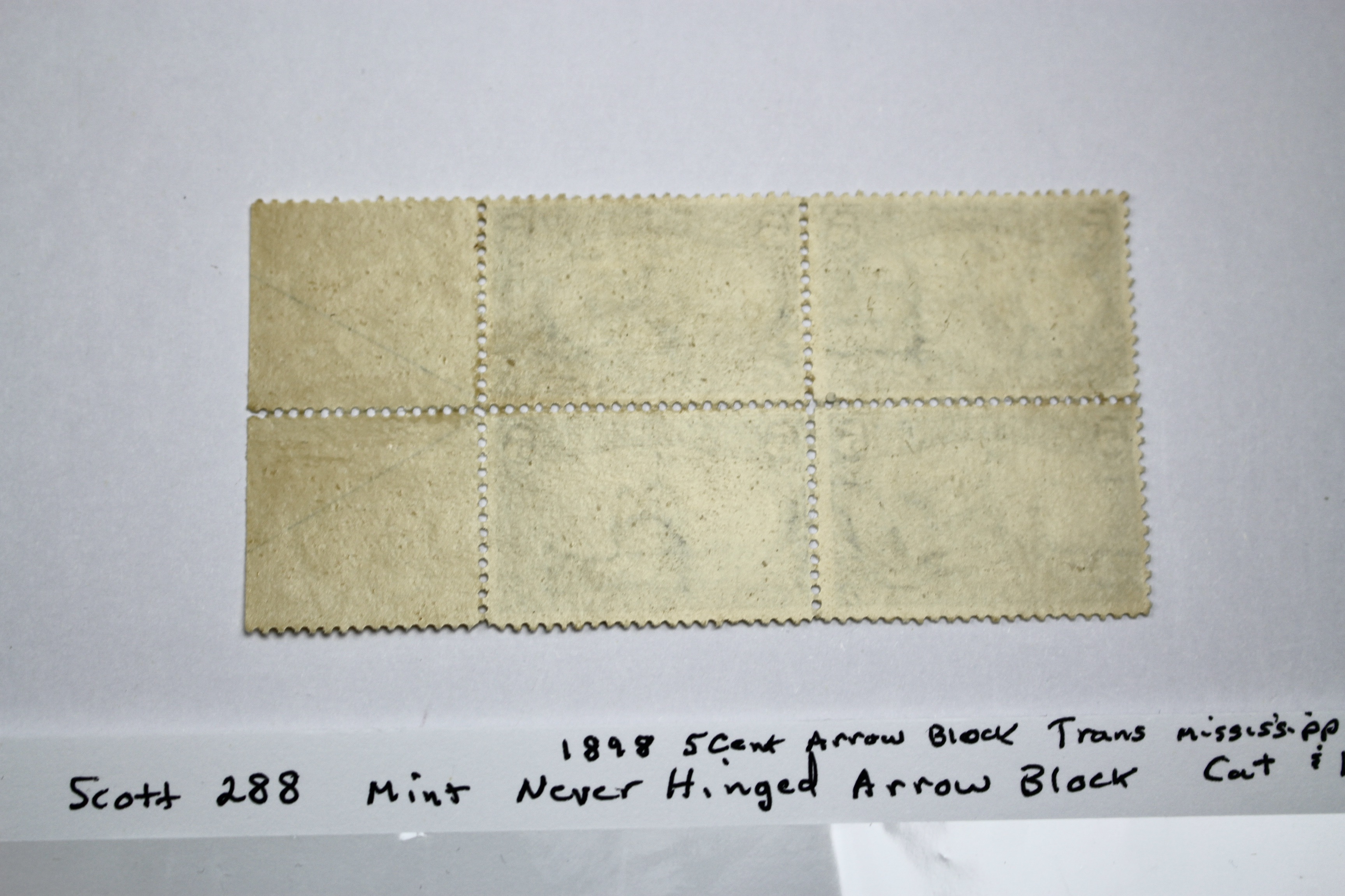 1898 5-Cent Trans-Mississippi Postage Stamp Arrow Block, Scott 288, MNH