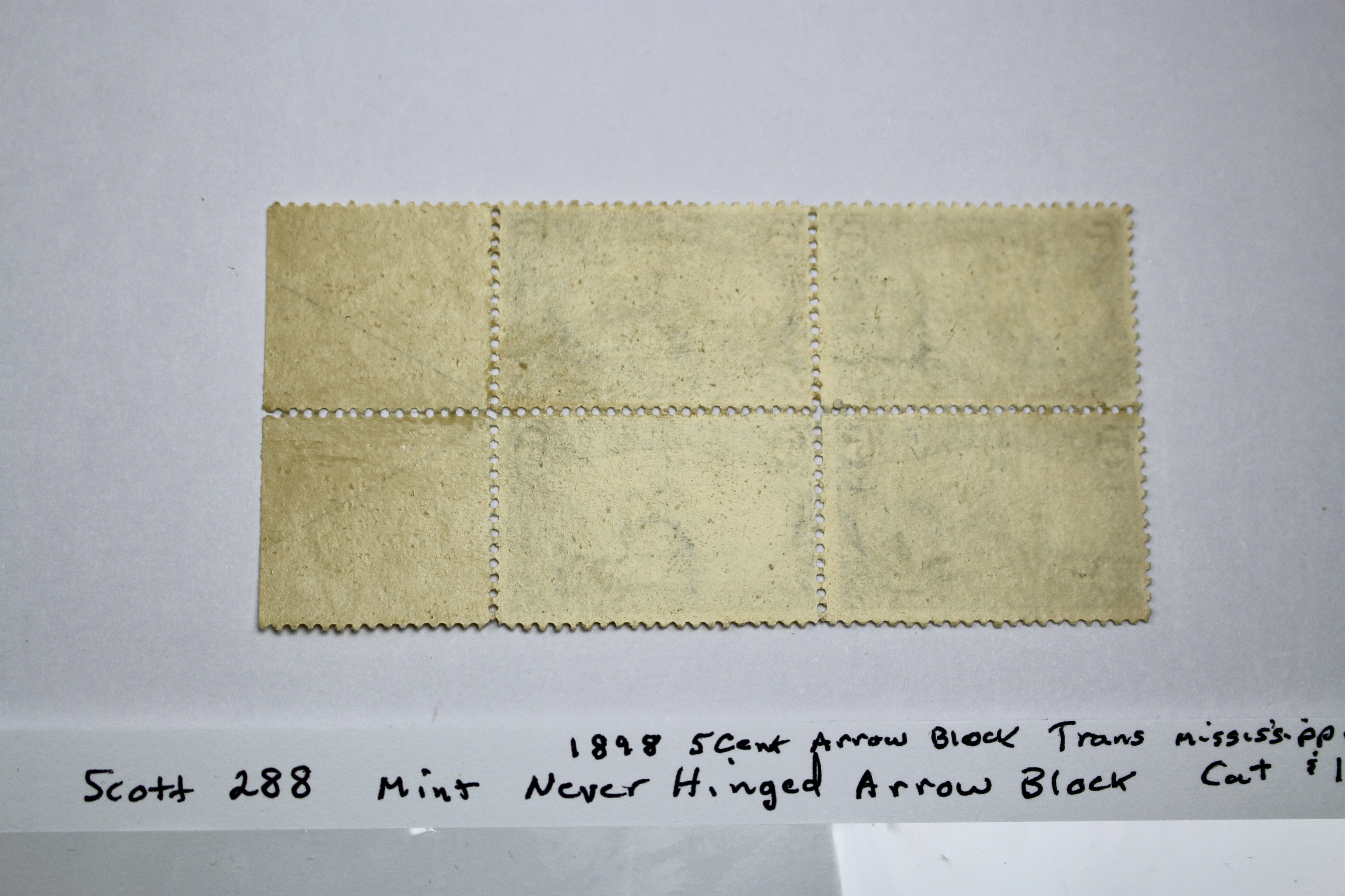 1898 5-Cent Trans-Mississippi Postage Stamp Arrow Block, Scott 288, MNH