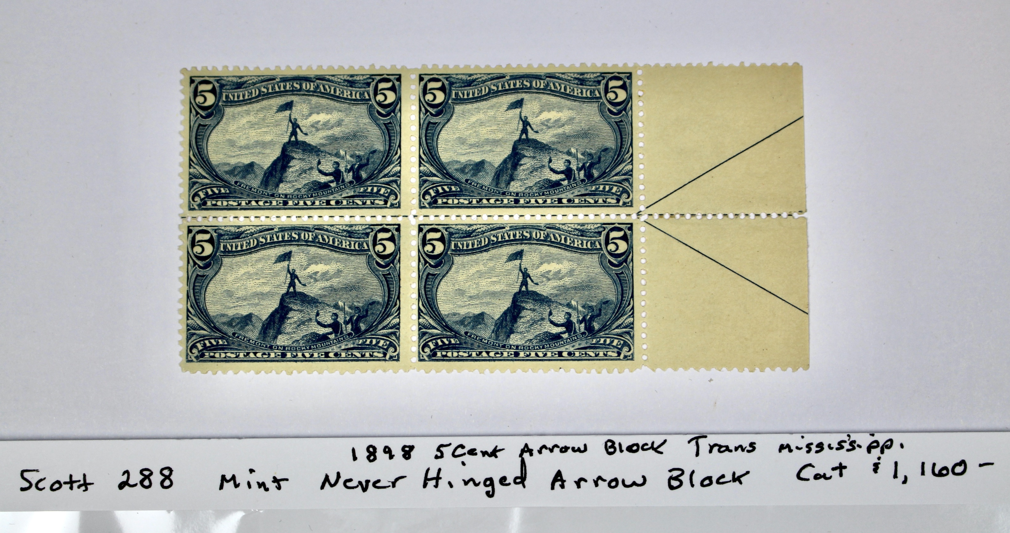 1898 5-Cent Trans-Mississippi Postage Stamp Arrow Block, Scott 288, MNH