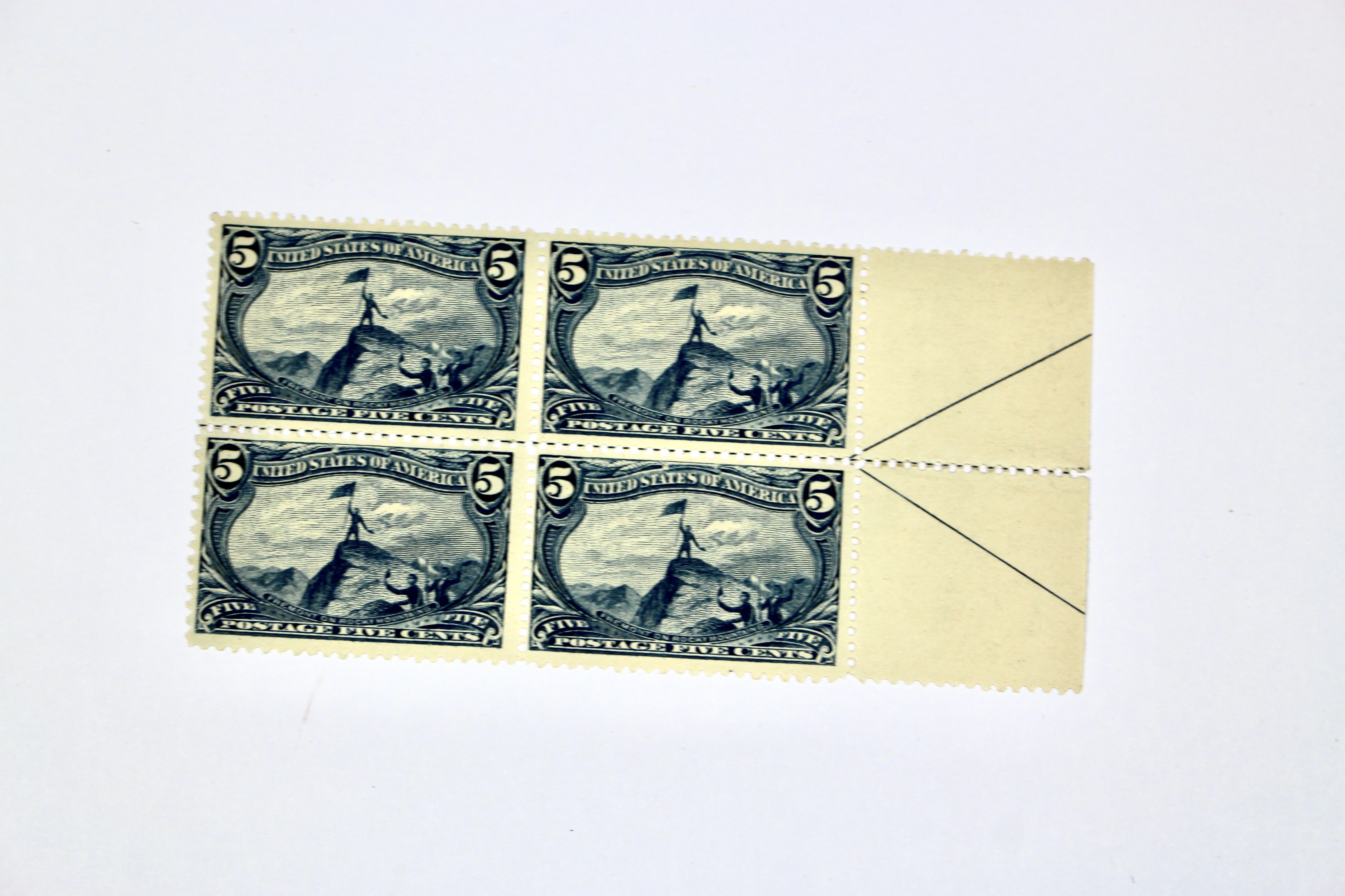 1898 5-Cent Trans-Mississippi Postage Stamp Arrow Block, Scott 288, MNH