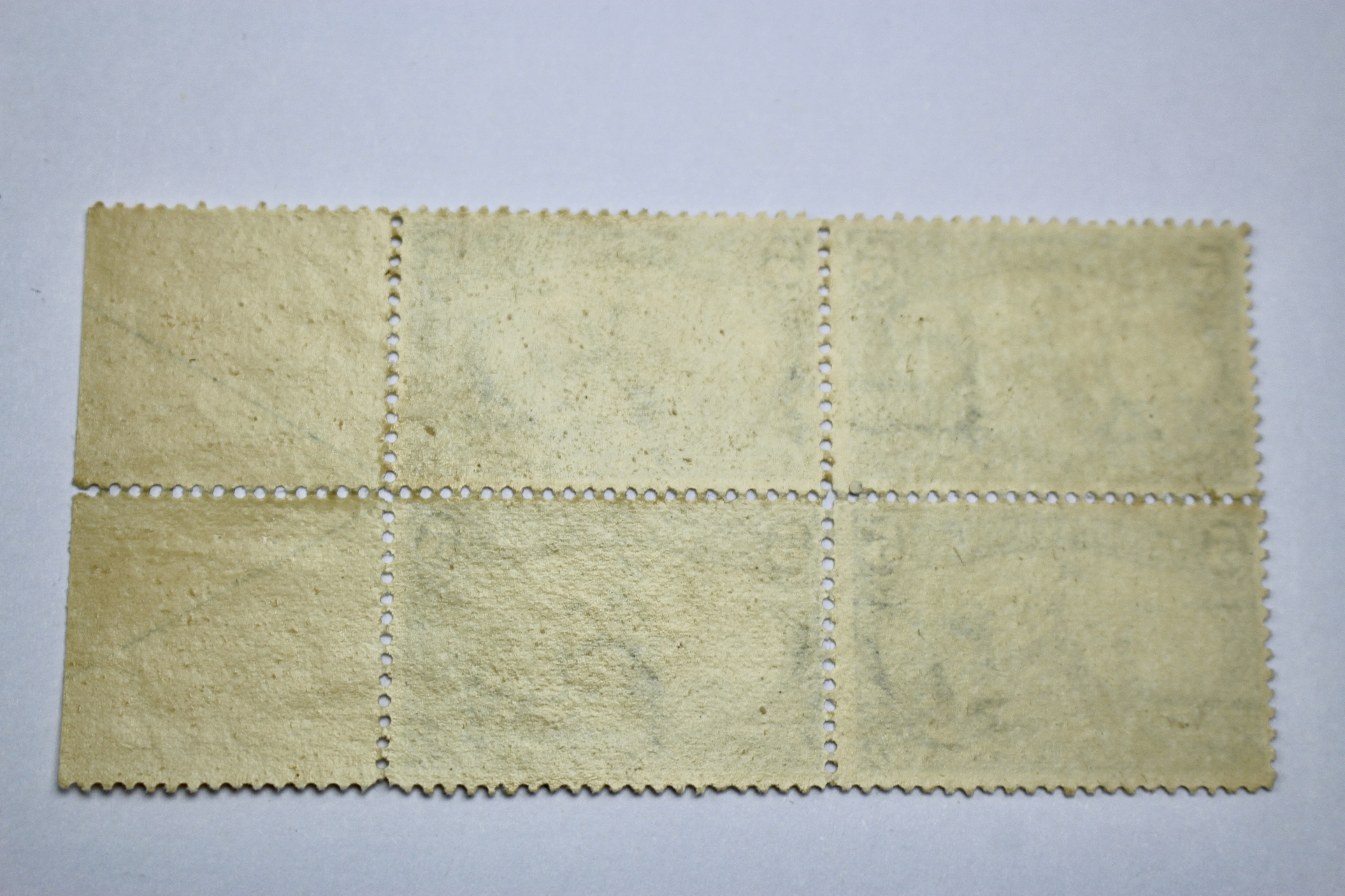 1898 5-Cent Trans-Mississippi Postage Stamp Arrow Block, Scott 288, MNH