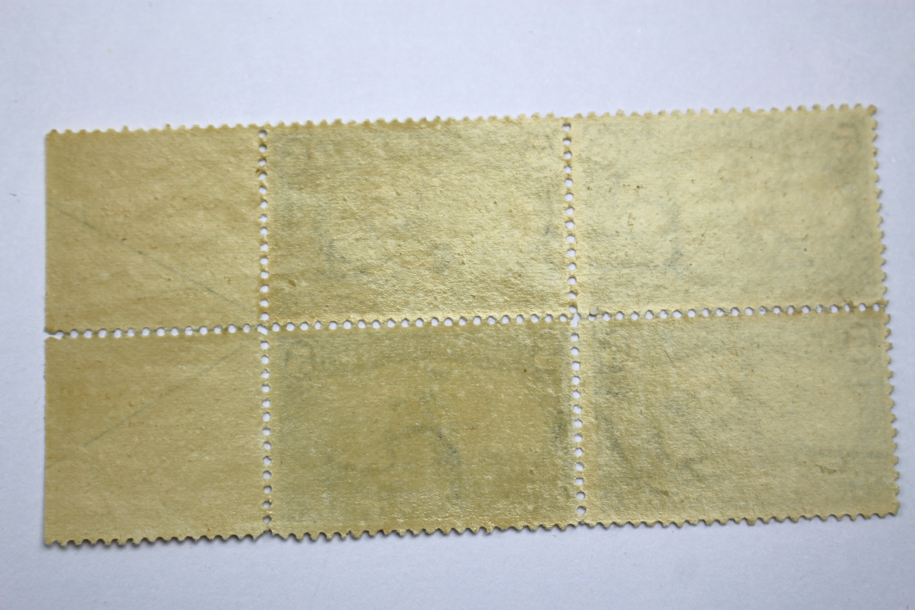 1898 5-Cent Trans-Mississippi Postage Stamp Arrow Block, Scott 288, MNH