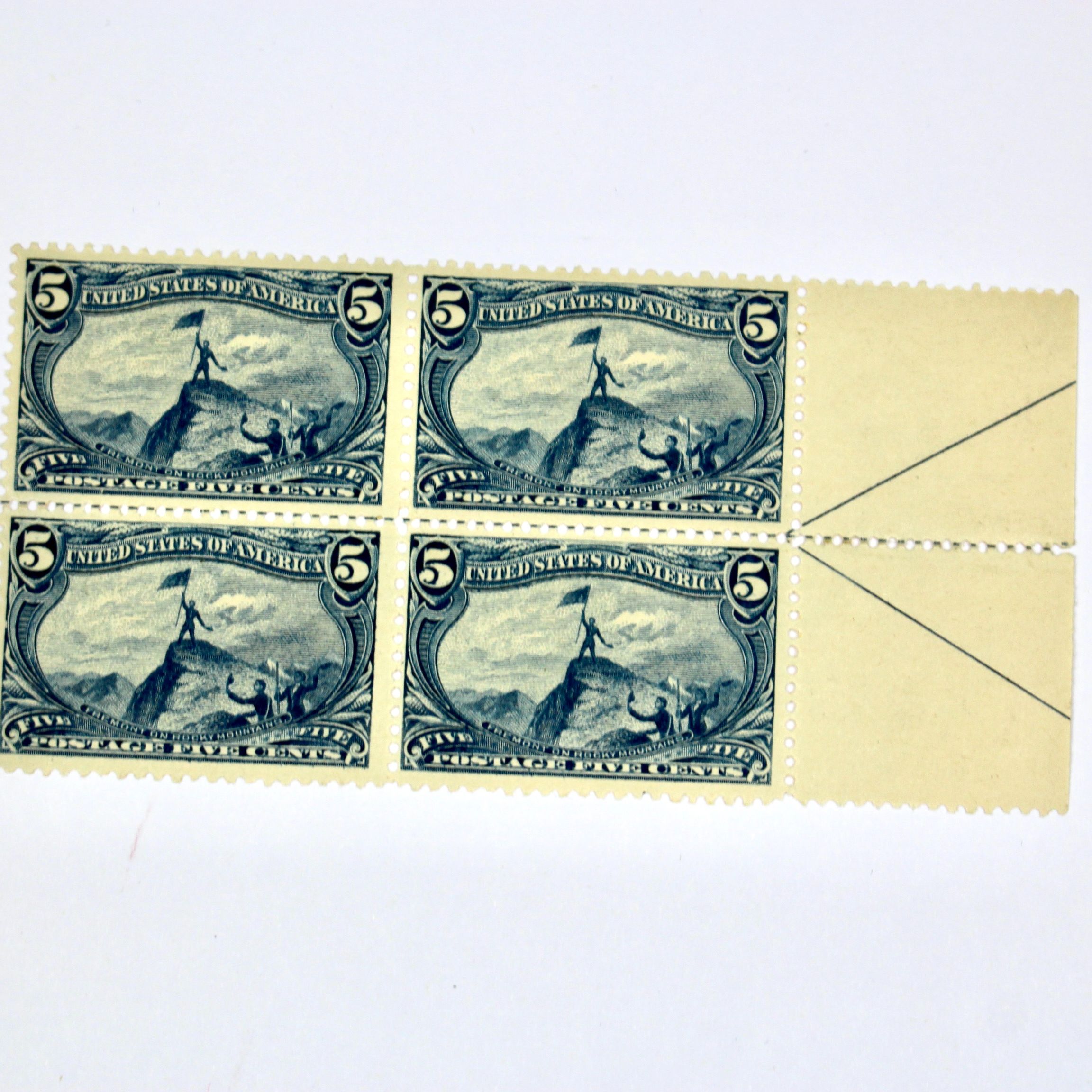 1898 5-Cent Trans-Mississippi Postage Stamp Arrow Block, Scott 288, MNH
