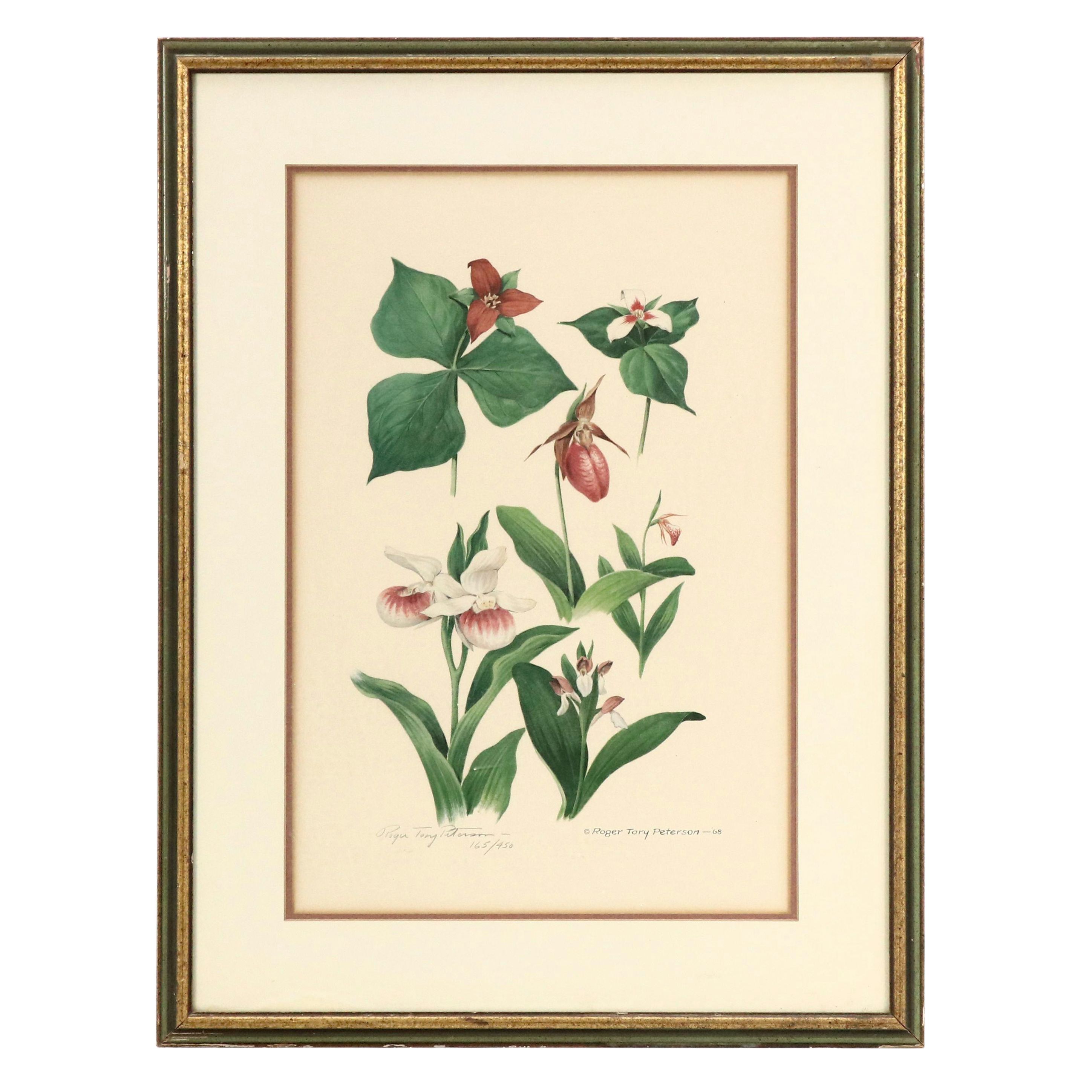 Roger Tory Peterson Botanical Offset Lithograph, Circa 1968