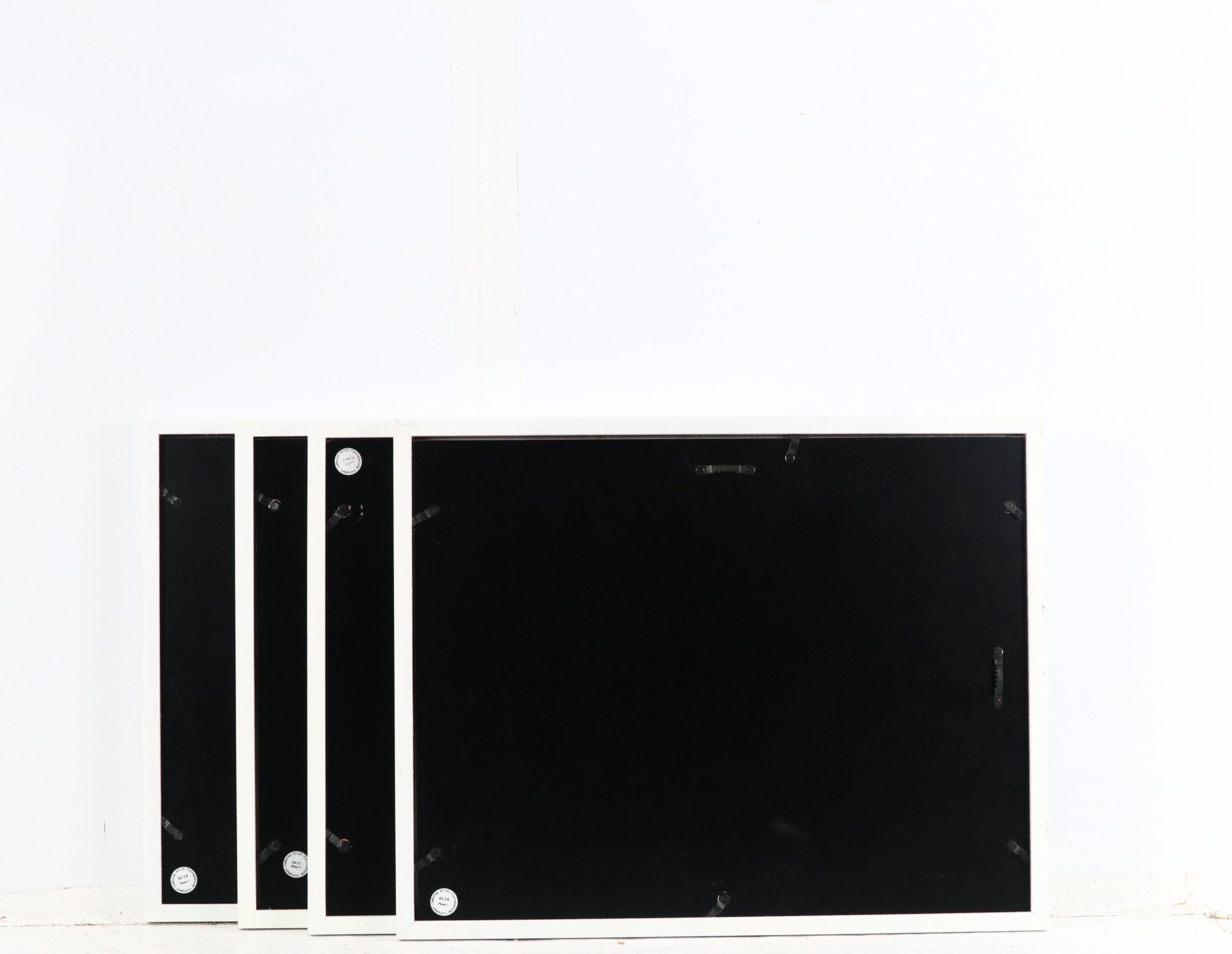 Collage Style Dinosaur Framed Prints