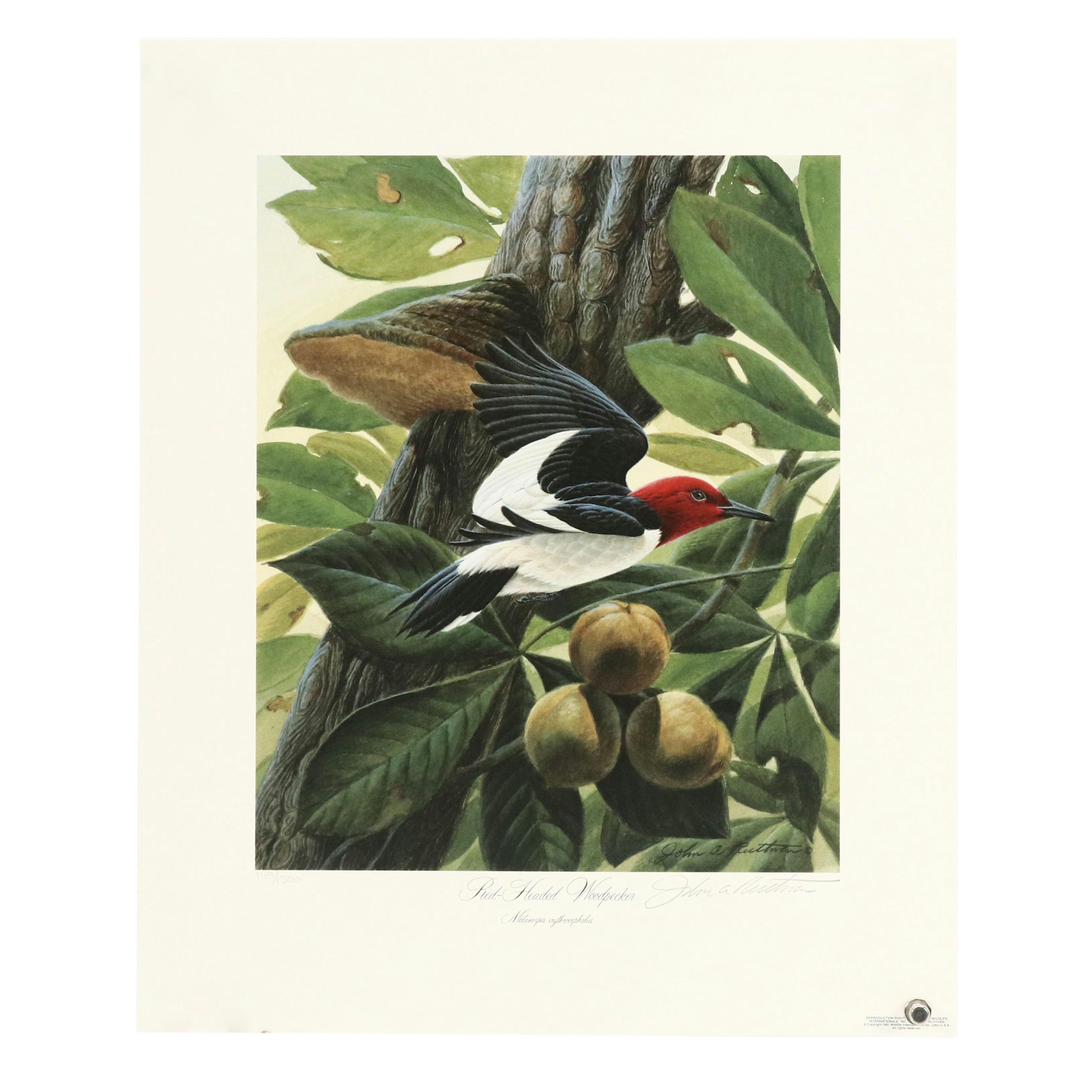 John Ruthven Offset Lithograph "Red-Headed Woodpecker," 1991