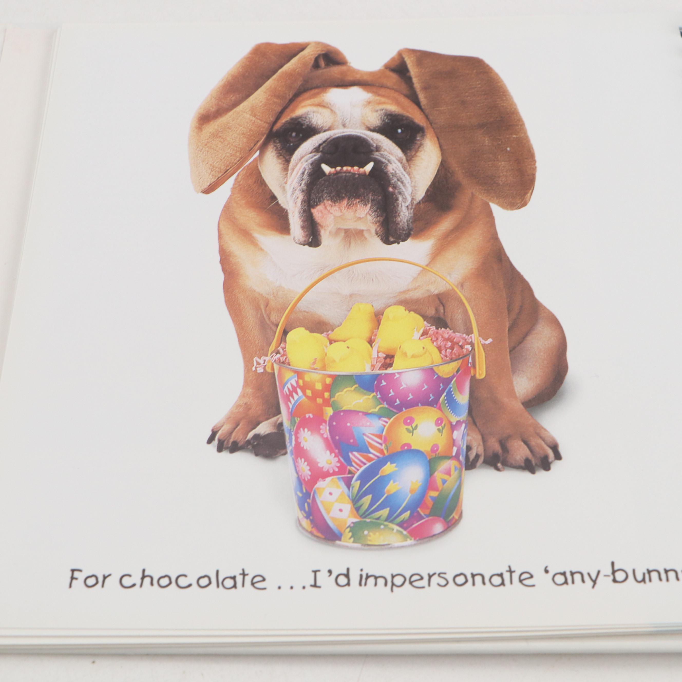 Dog Fancy "Bulldog" Edition Magazine, Zelda Wisdom Bulldog Calendar, and More