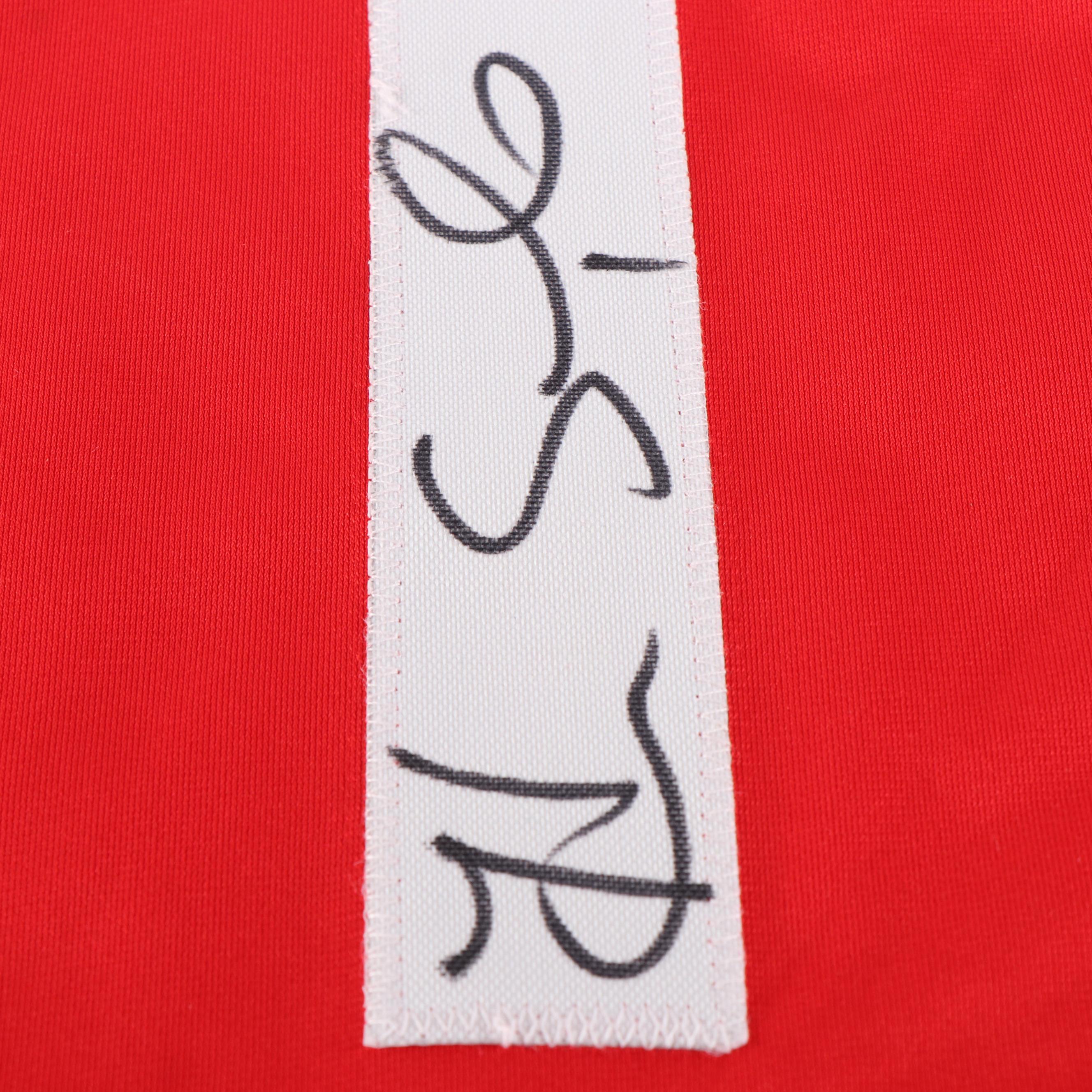 Hope Solo Signed Team USA Soccer Jersey, JSA