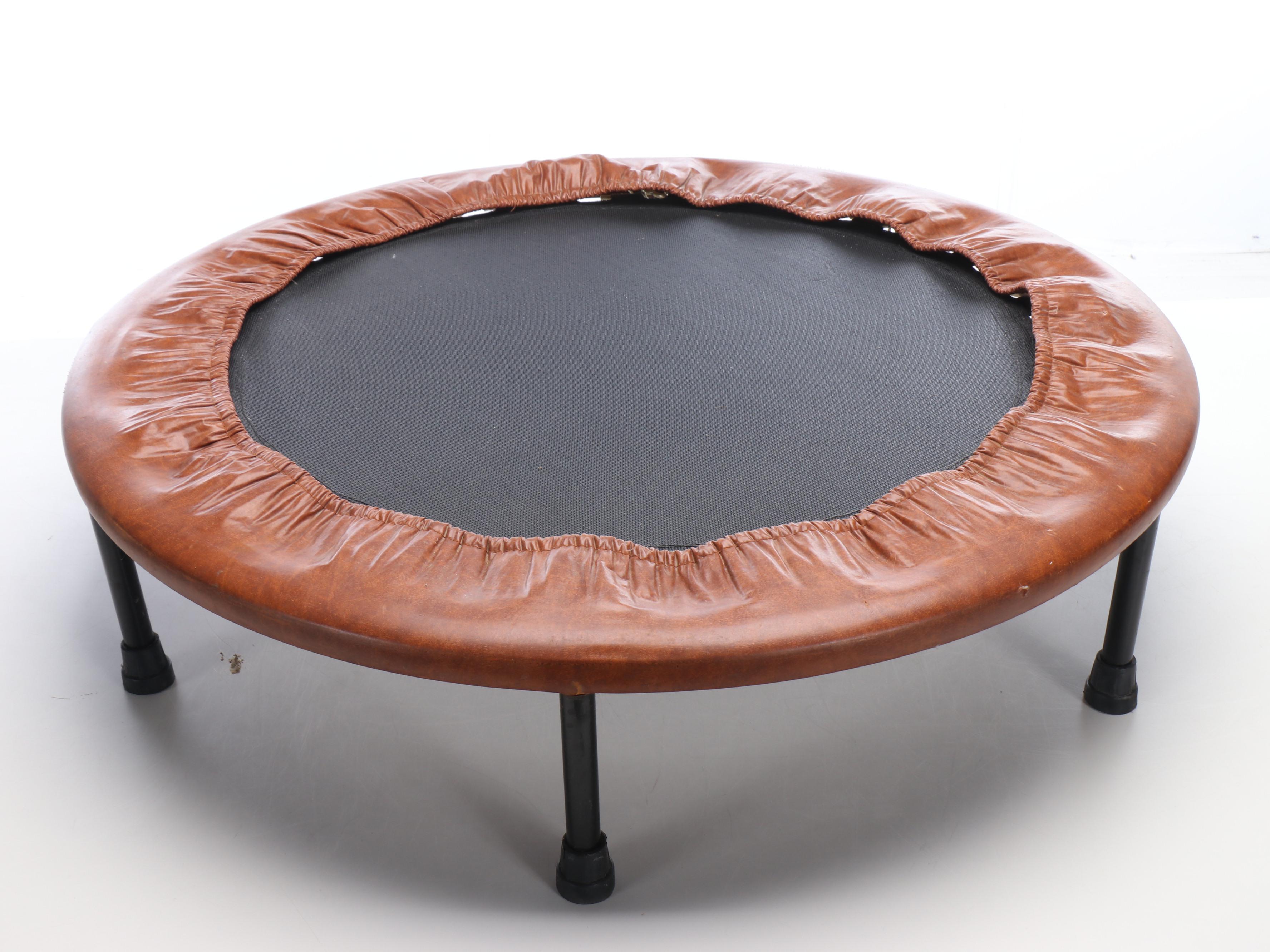 Vinyl Miniature Trampoline with Everlast 2.5 Lbs Weights and More