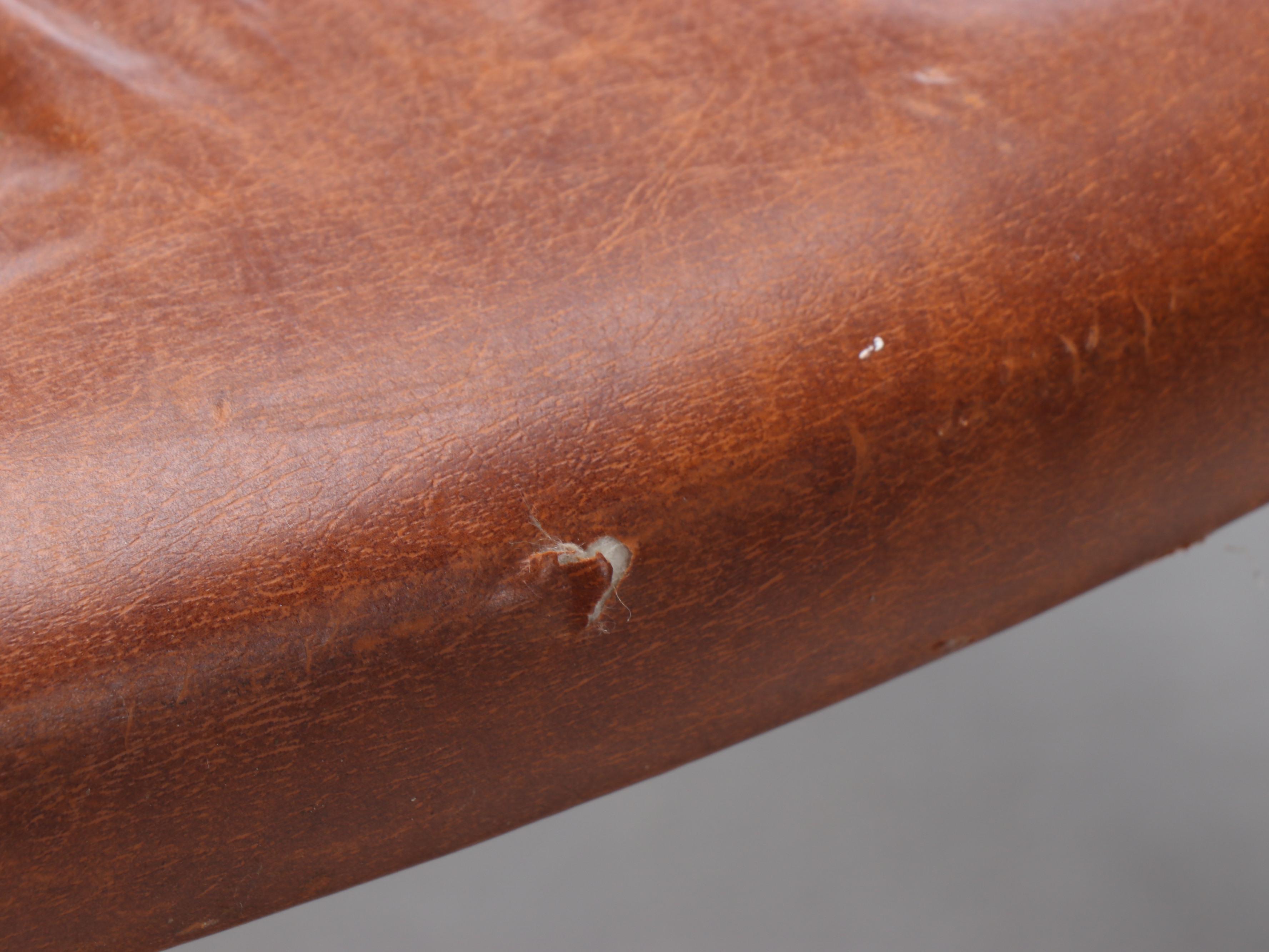 Vinyl Miniature Trampoline with Everlast 2.5 Lbs Weights and More