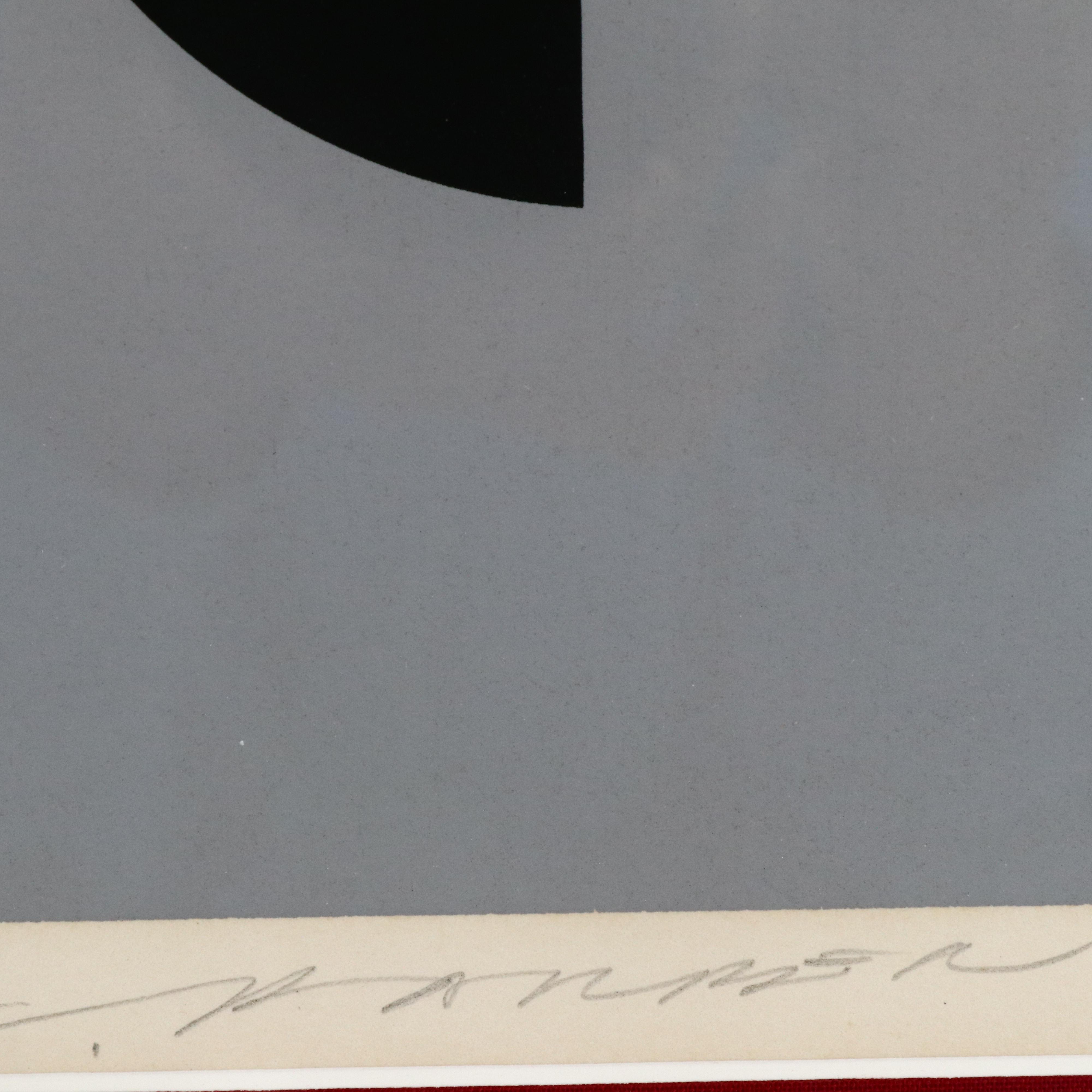 Charley Harper Serigraph "Birds of a Feather"