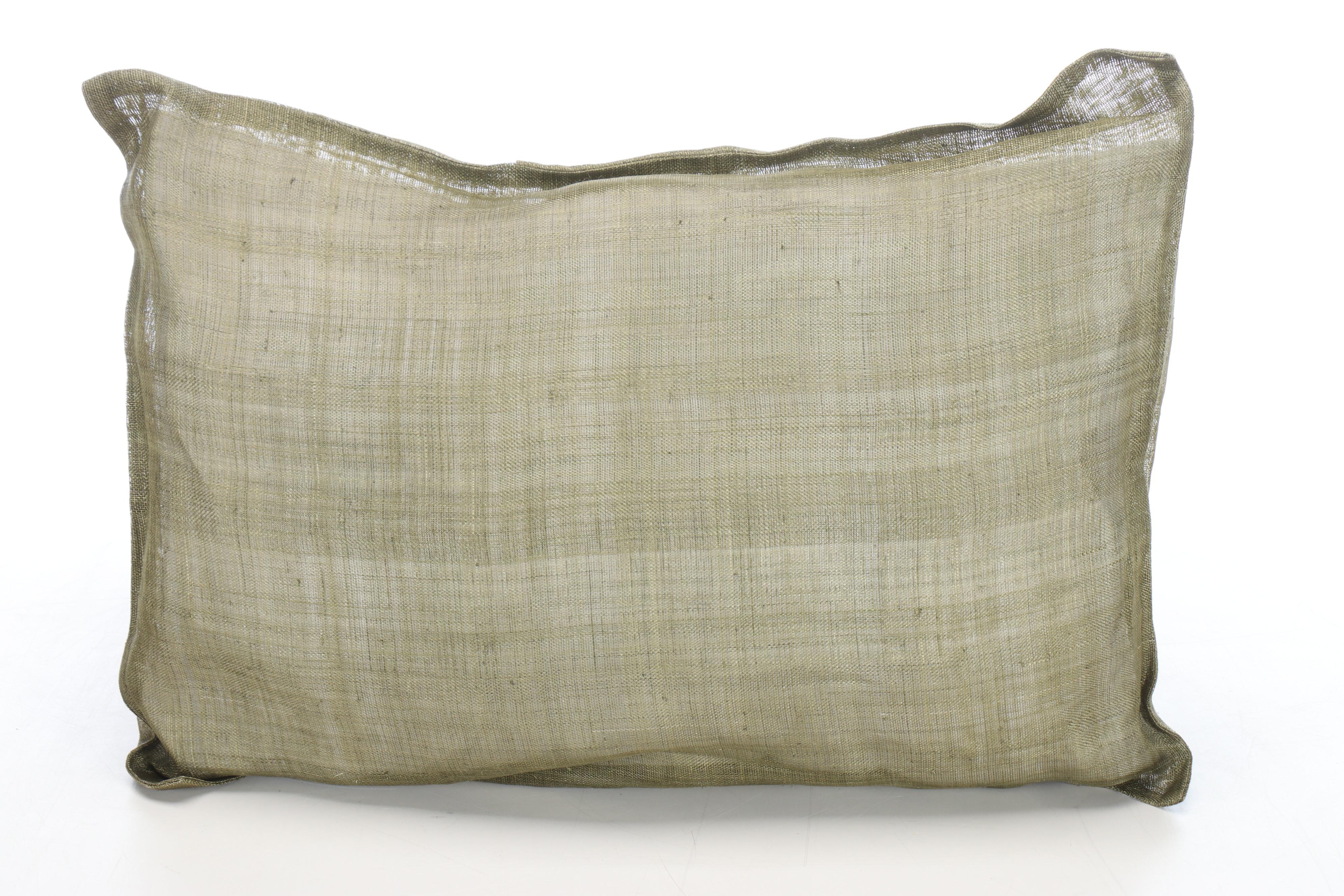 Pottery Barn and Foundations Silk Dupioni Drapes with Throw Pillows