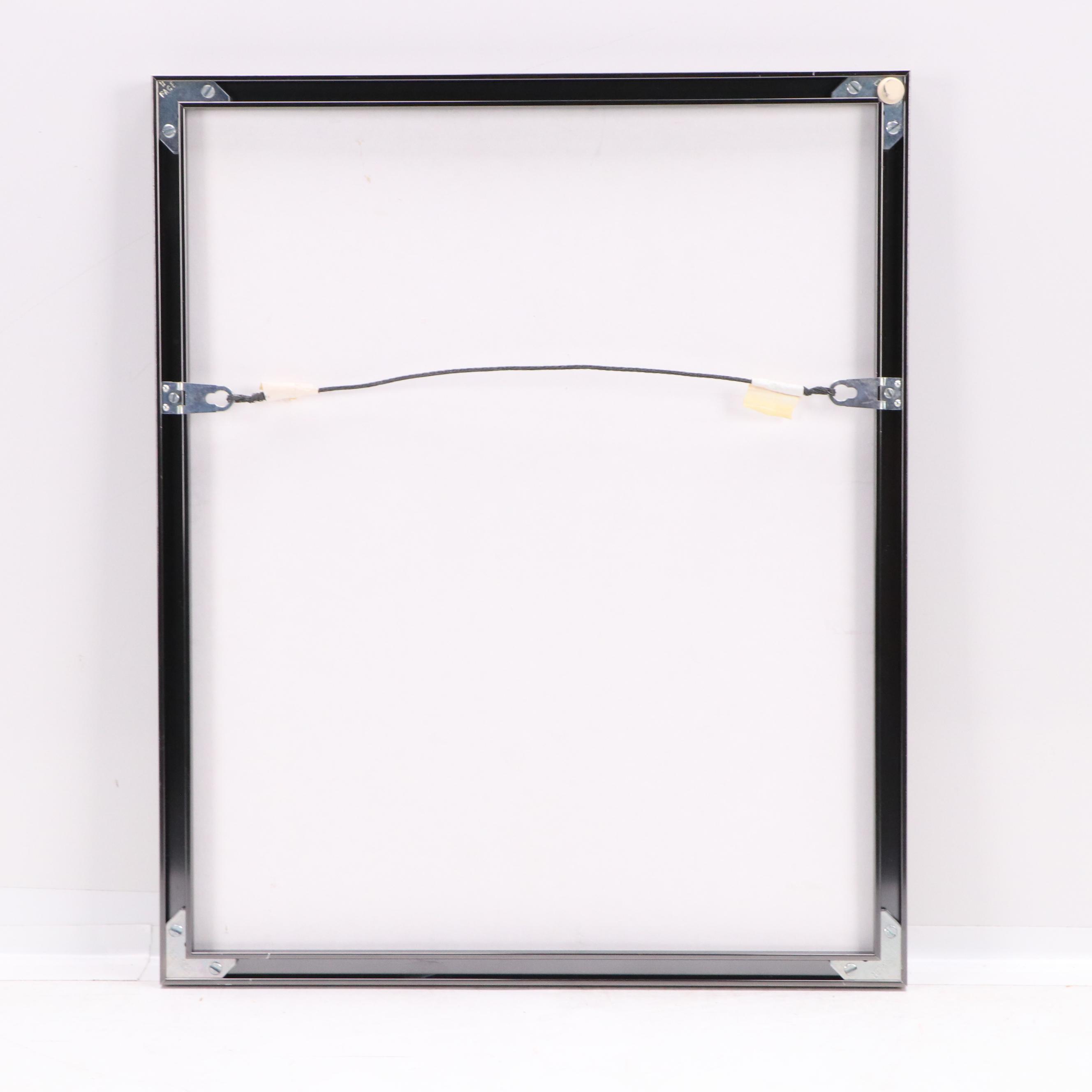 Frank Bennett Fiske Posthumous Photograph of Native American "Chief Red Fish"