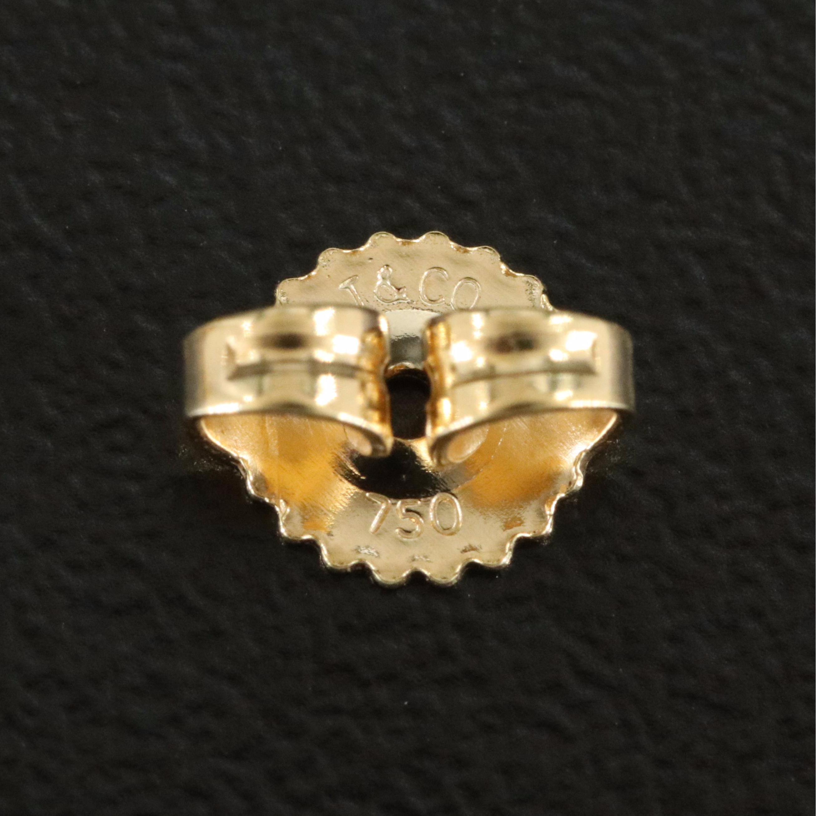 Tiffany & Co. 18K Concave Oval Disc Hoop Earrings