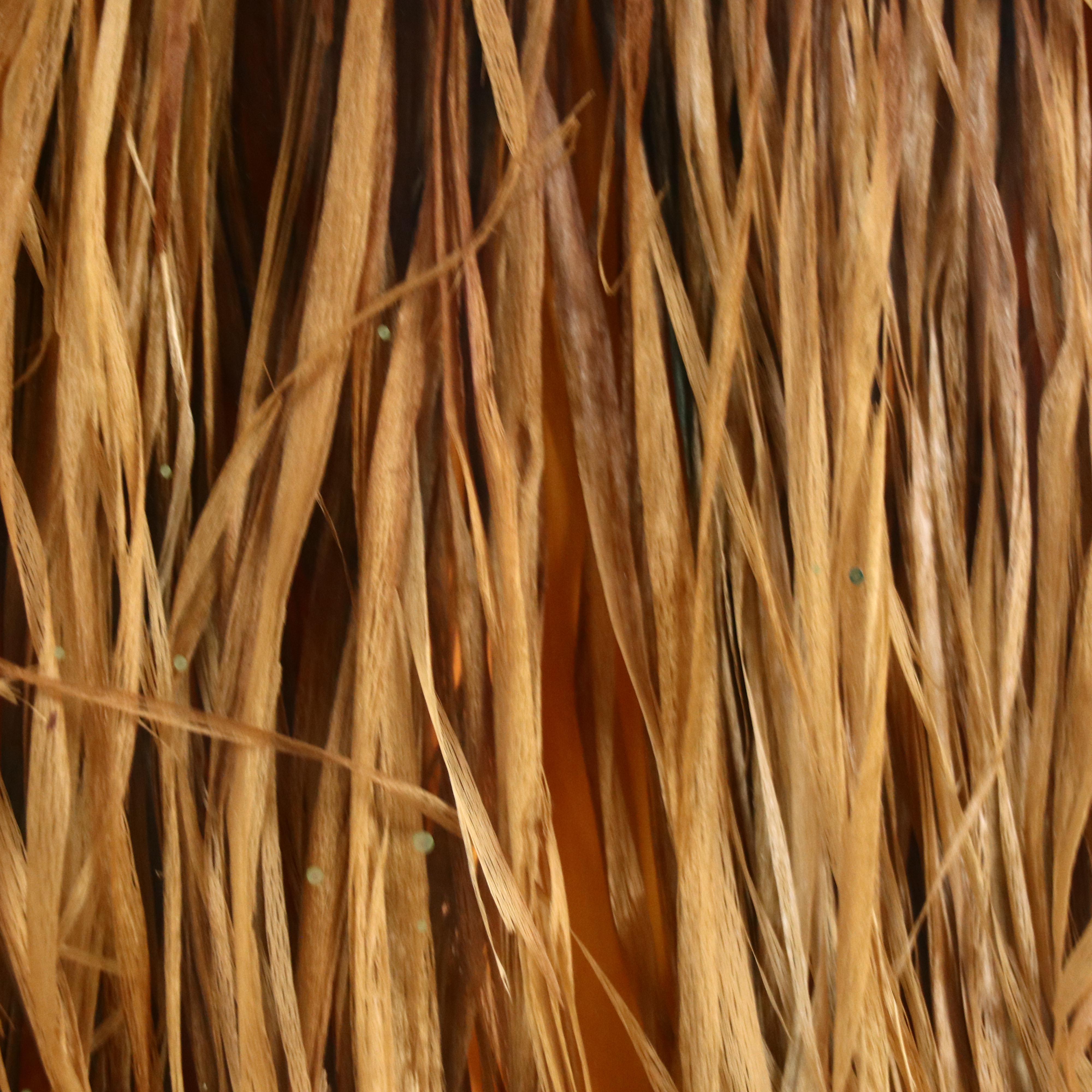 Framed Polynesian Palm Skirt and Tissue Lei, 20th Century