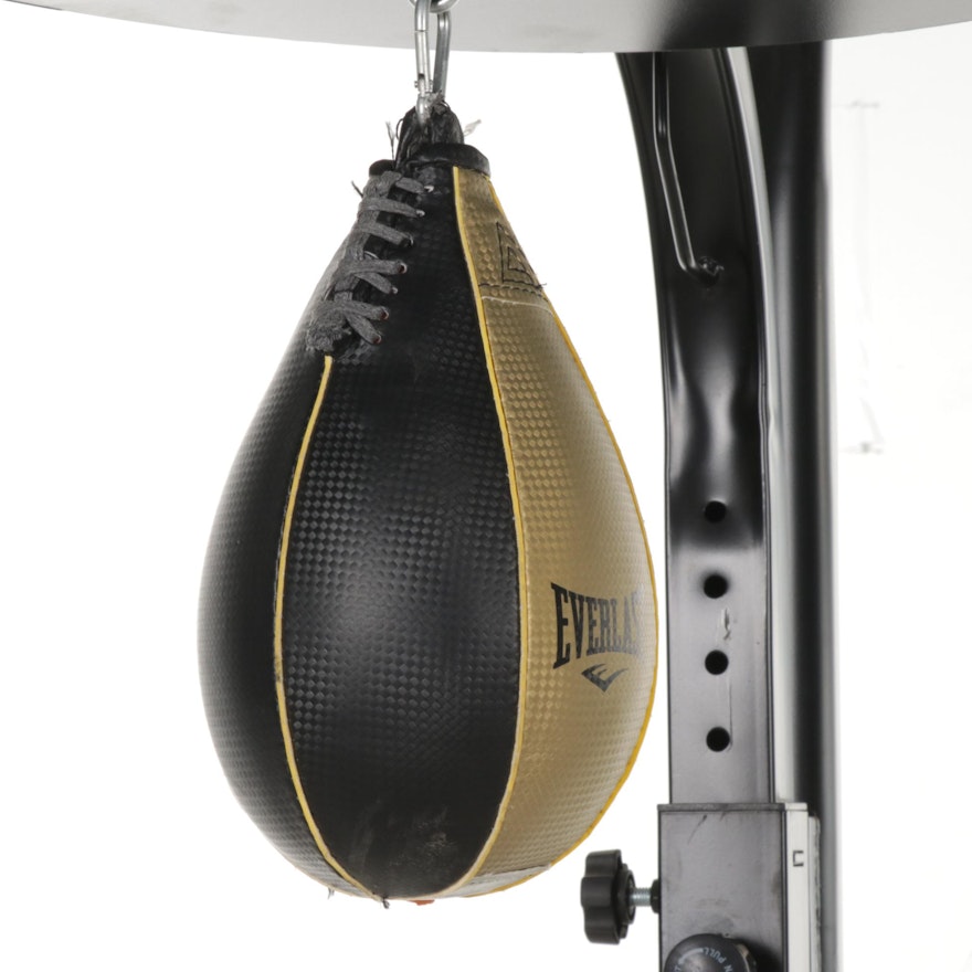 Everlast Boxing Training Stand and Bags, 2020 | EBTH