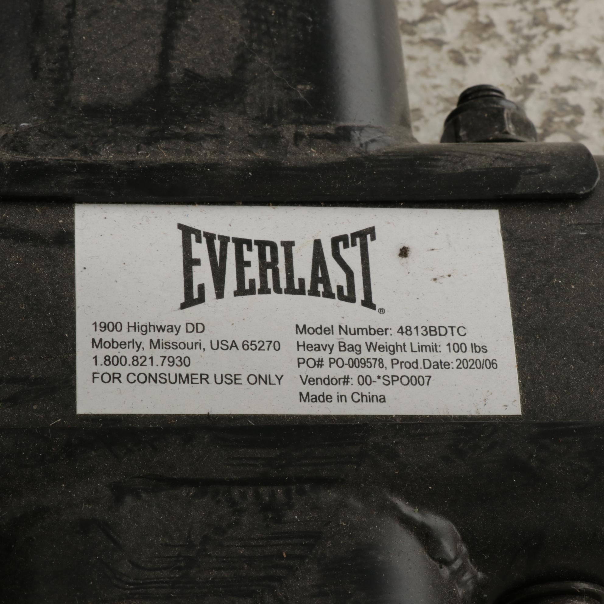 Everlast Boxing Training Stand and Bags, 2020