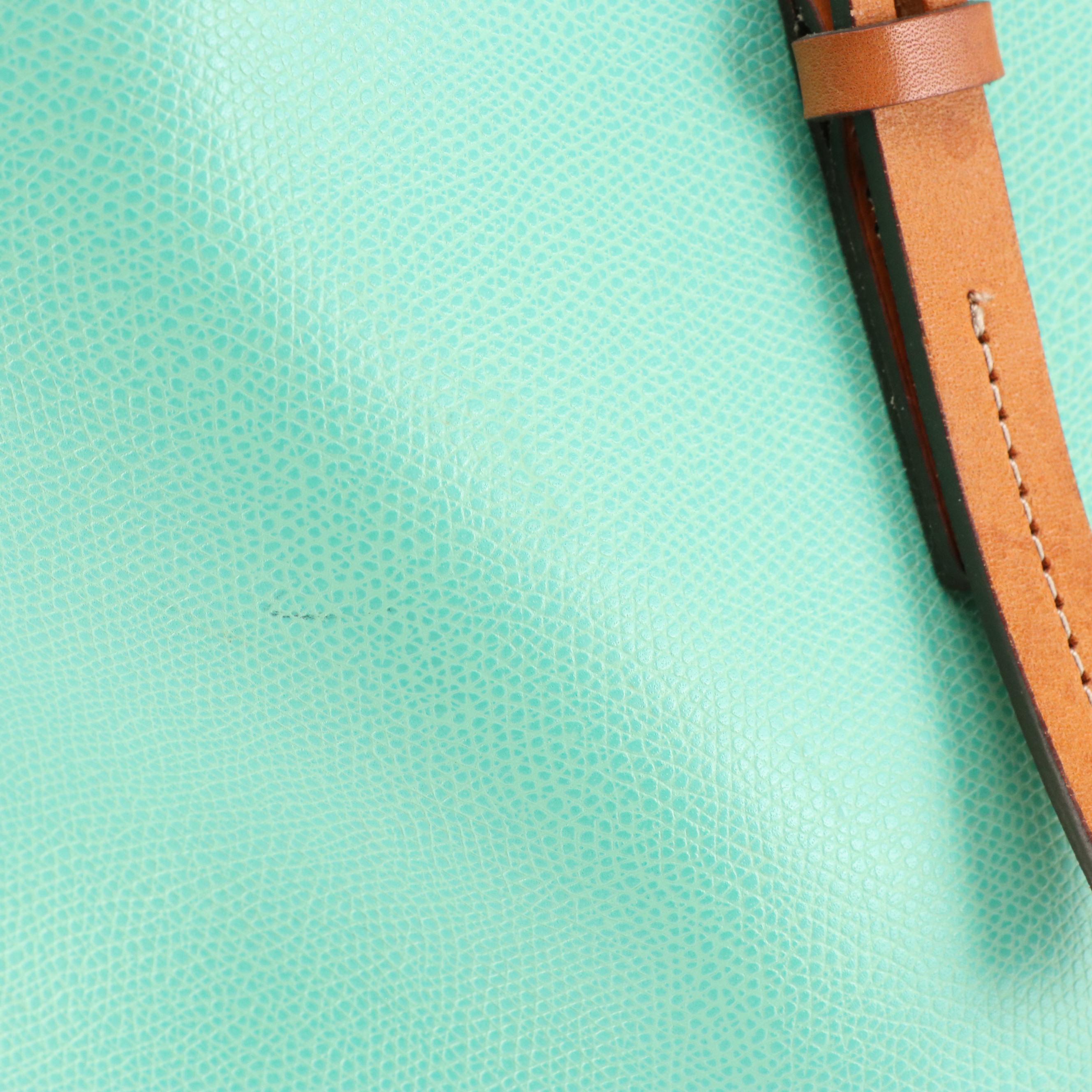 Dooney & Bourke Large Claremont Tote in Mint Green and Brown Leather