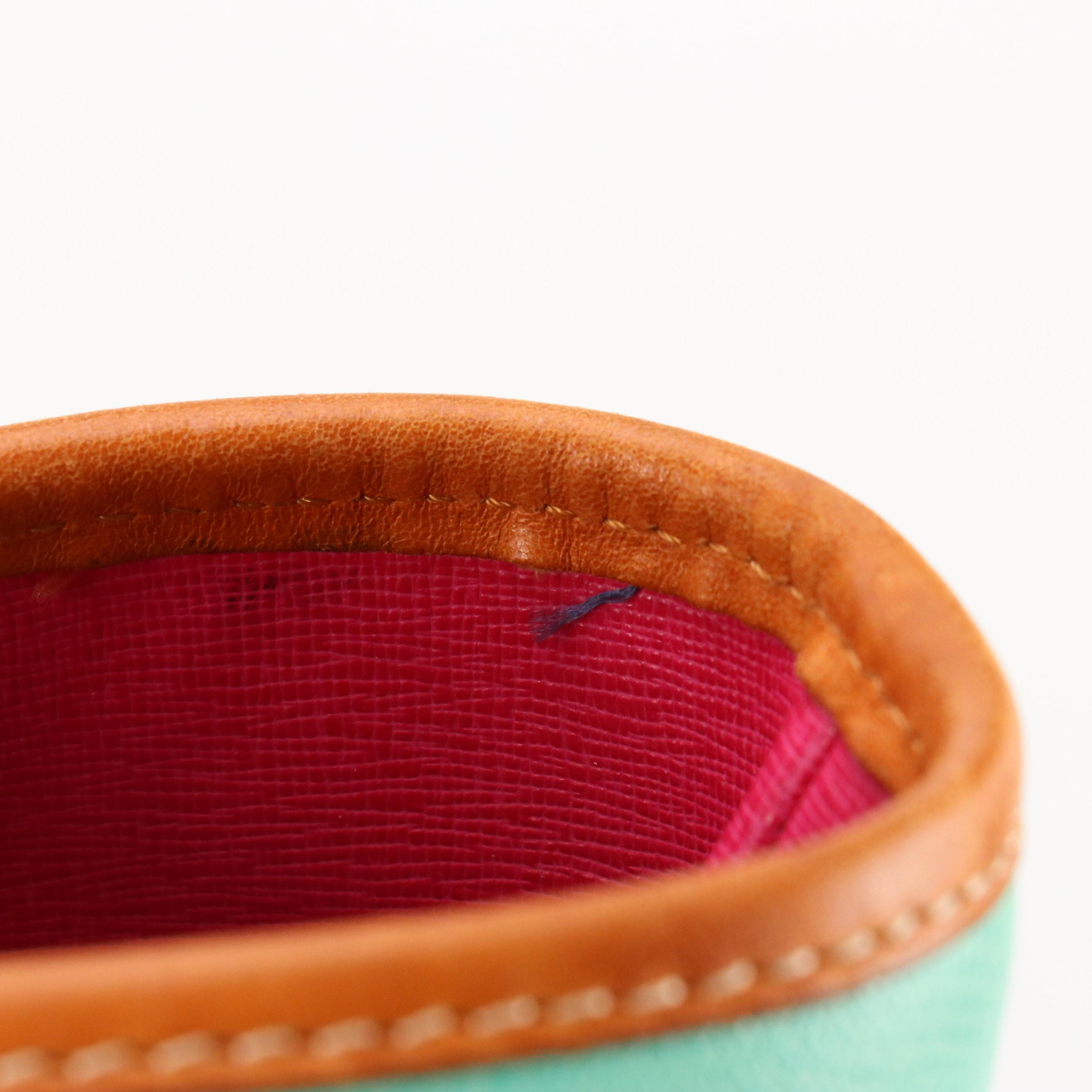 Dooney & Bourke Large Claremont Tote in Mint Green and Brown Leather