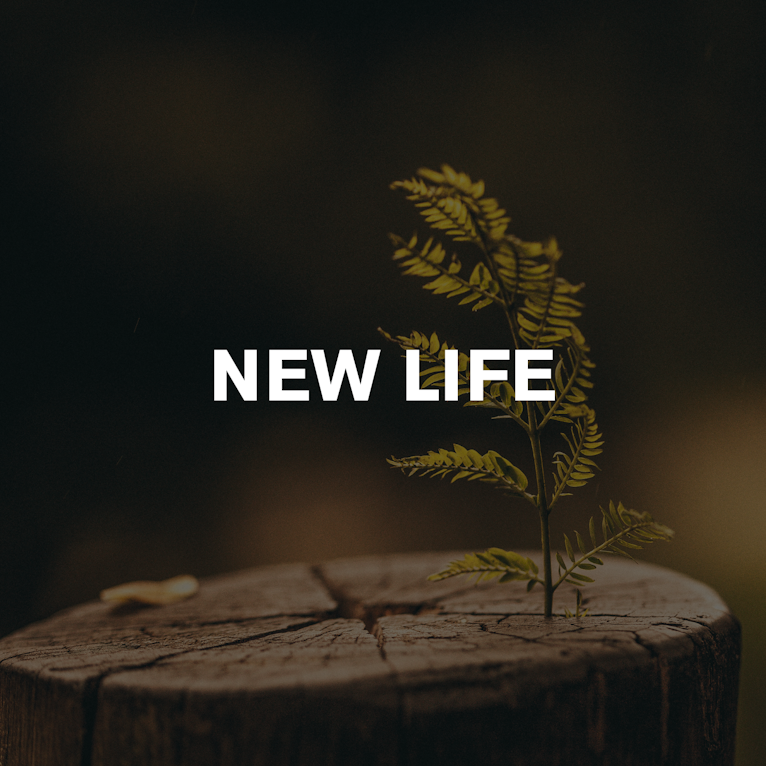 Secondhand September