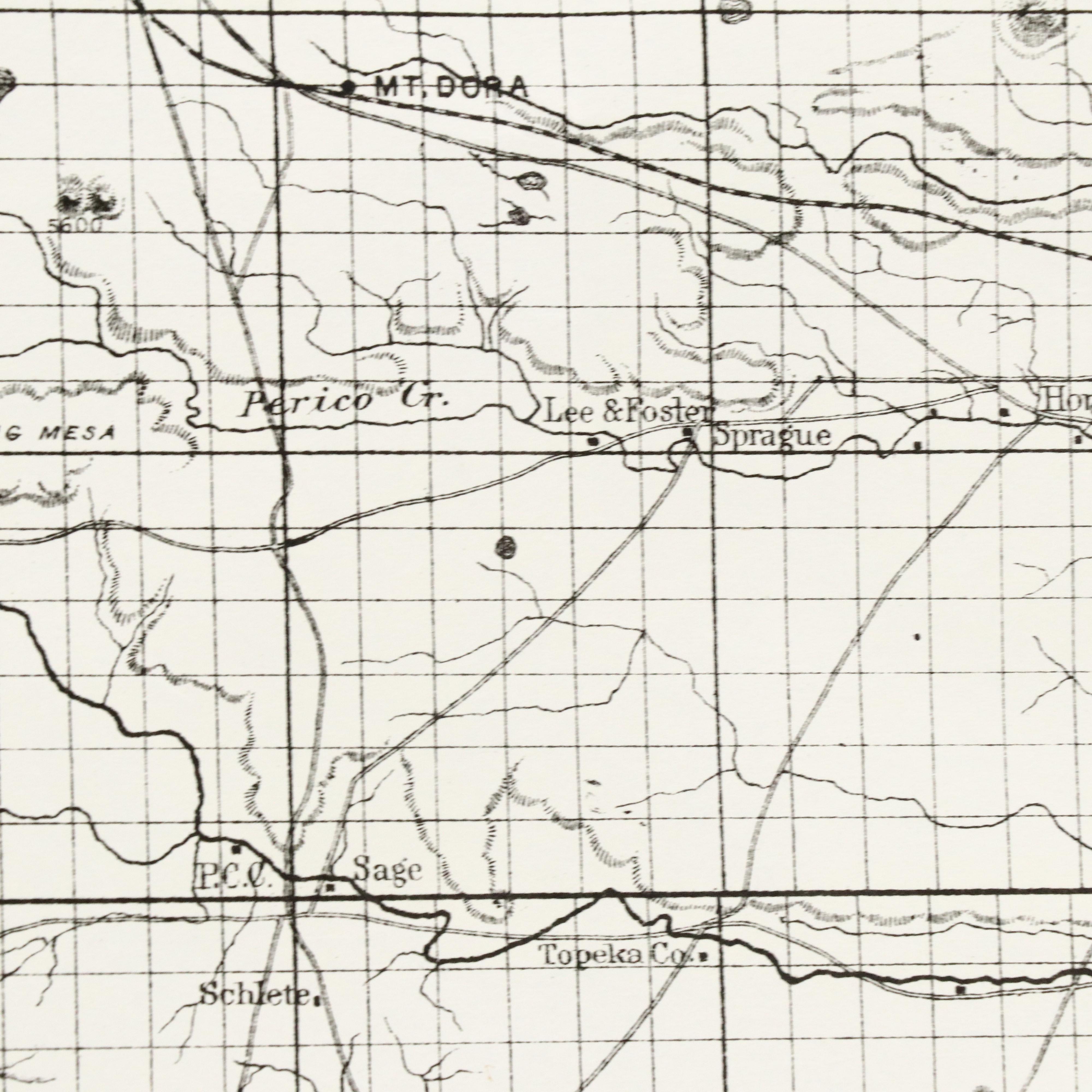Hand-Colored Map "Sectional Map of Colfax and Mora Counties, New Mexico," 1889