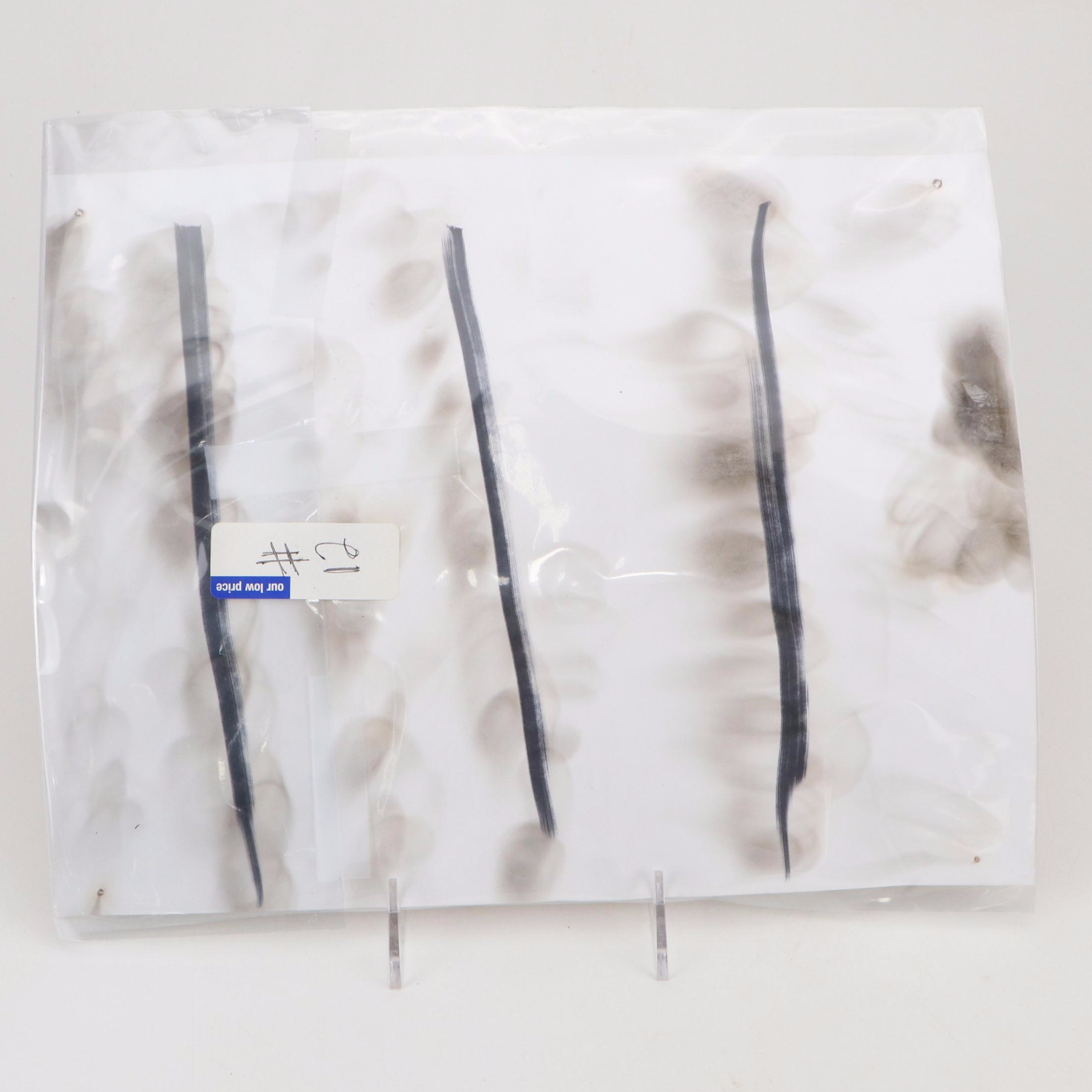 "Closed for Violation of National Prohibition Act" Paper Sign