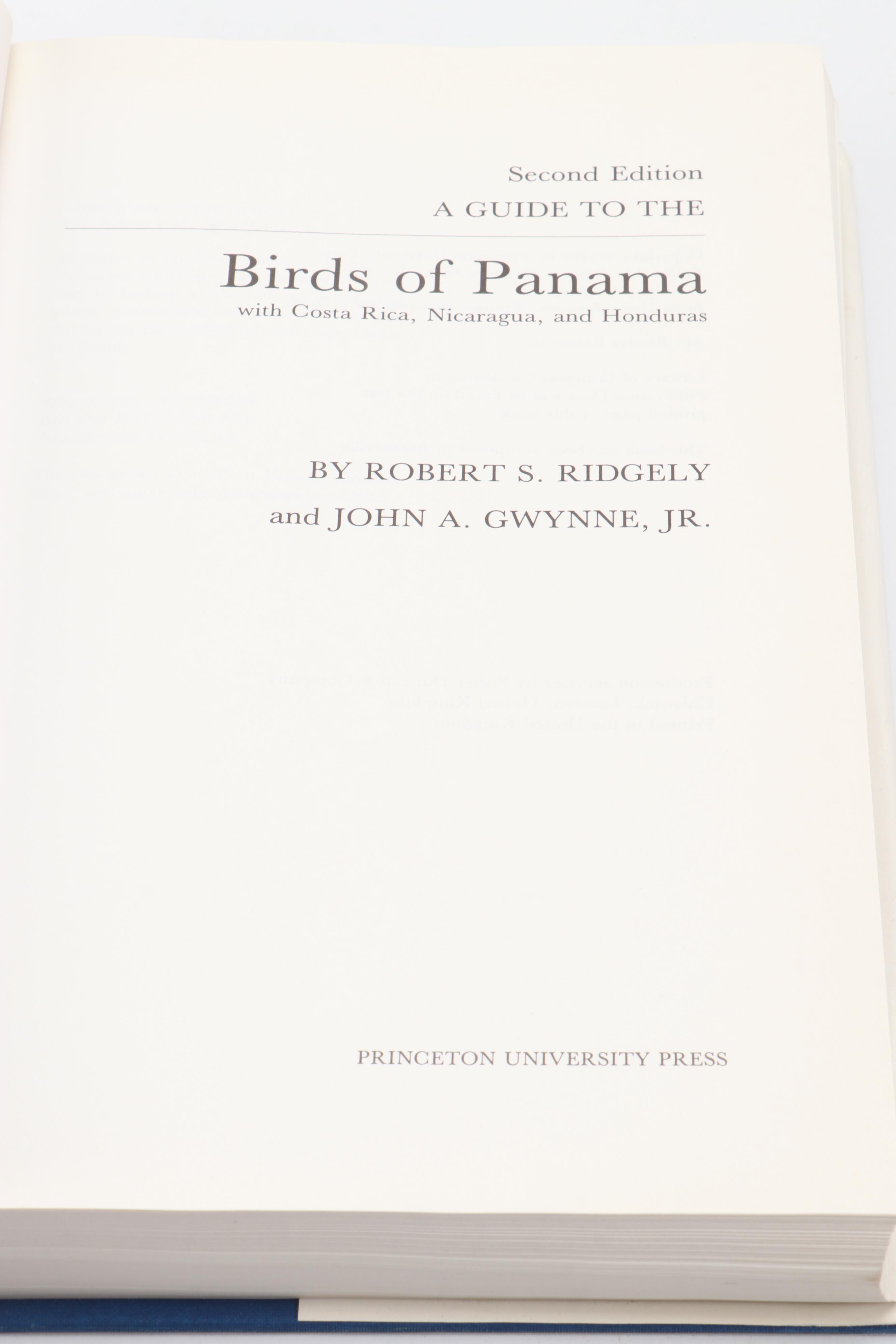 "The Sibley Guide to Birds" by David Allen Sibley and More Bird Guide Books