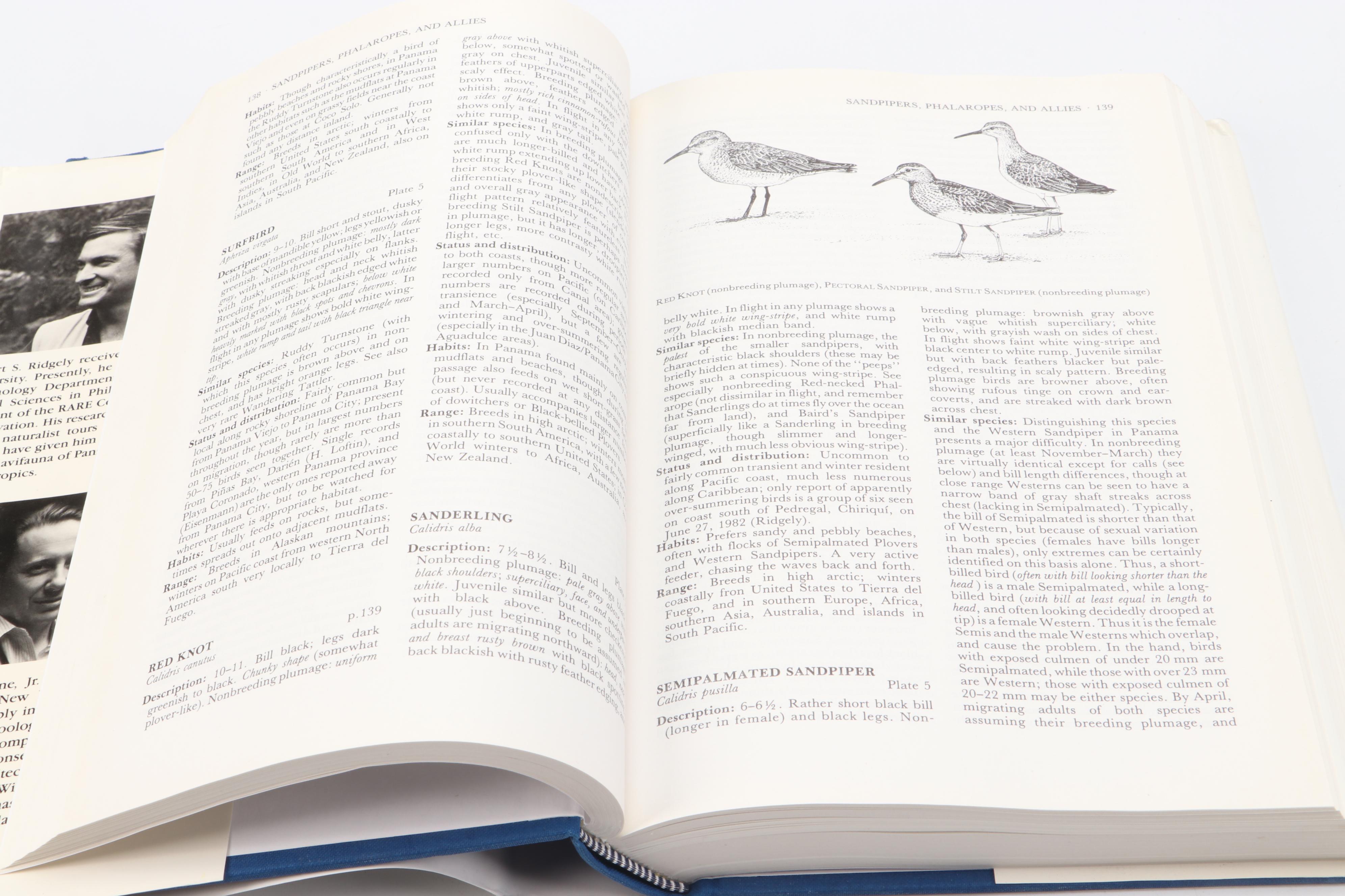 "The Sibley Guide to Birds" by David Allen Sibley and More Bird Guide Books