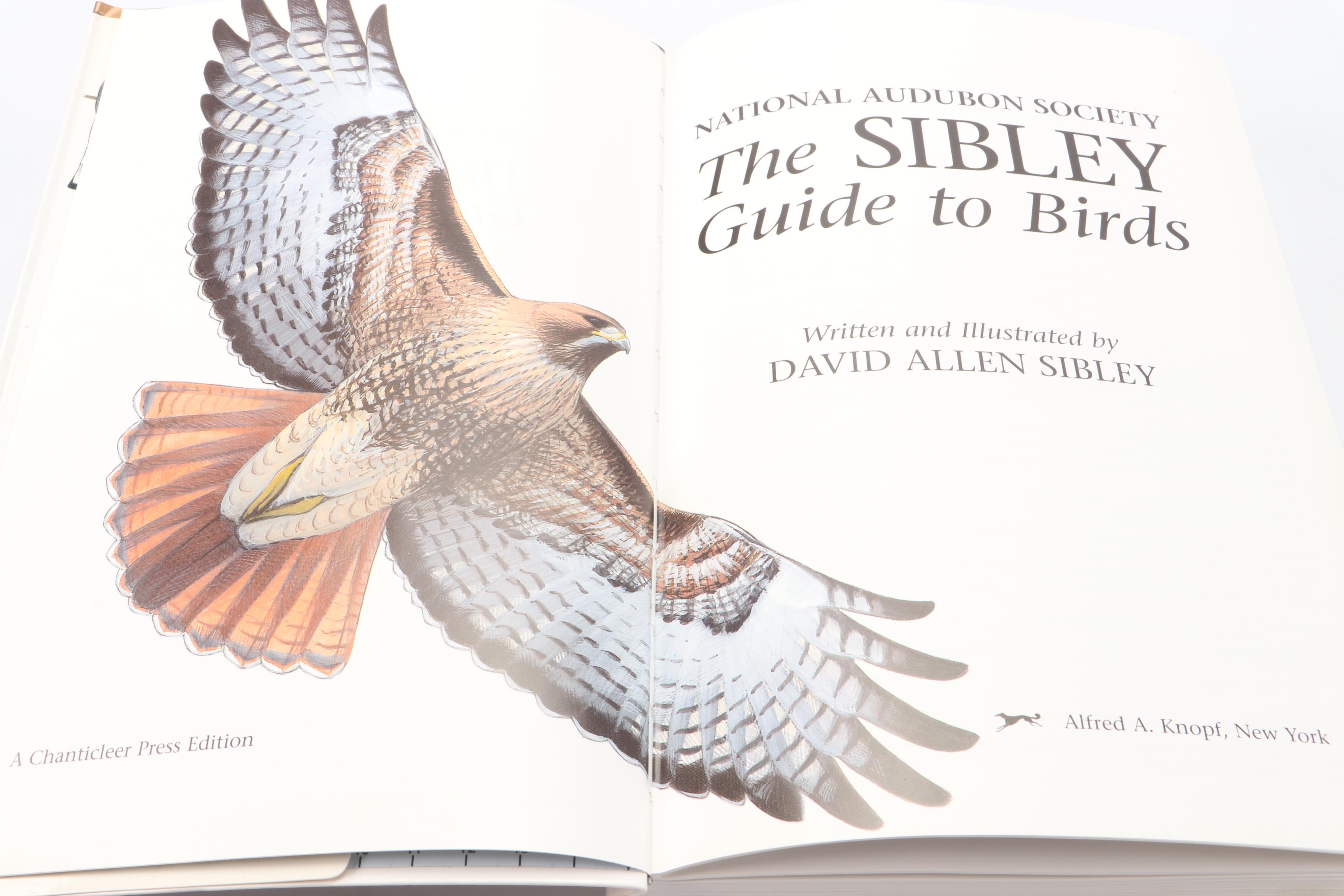 "The Sibley Guide to Birds" by David Allen Sibley and More Bird Guide Books