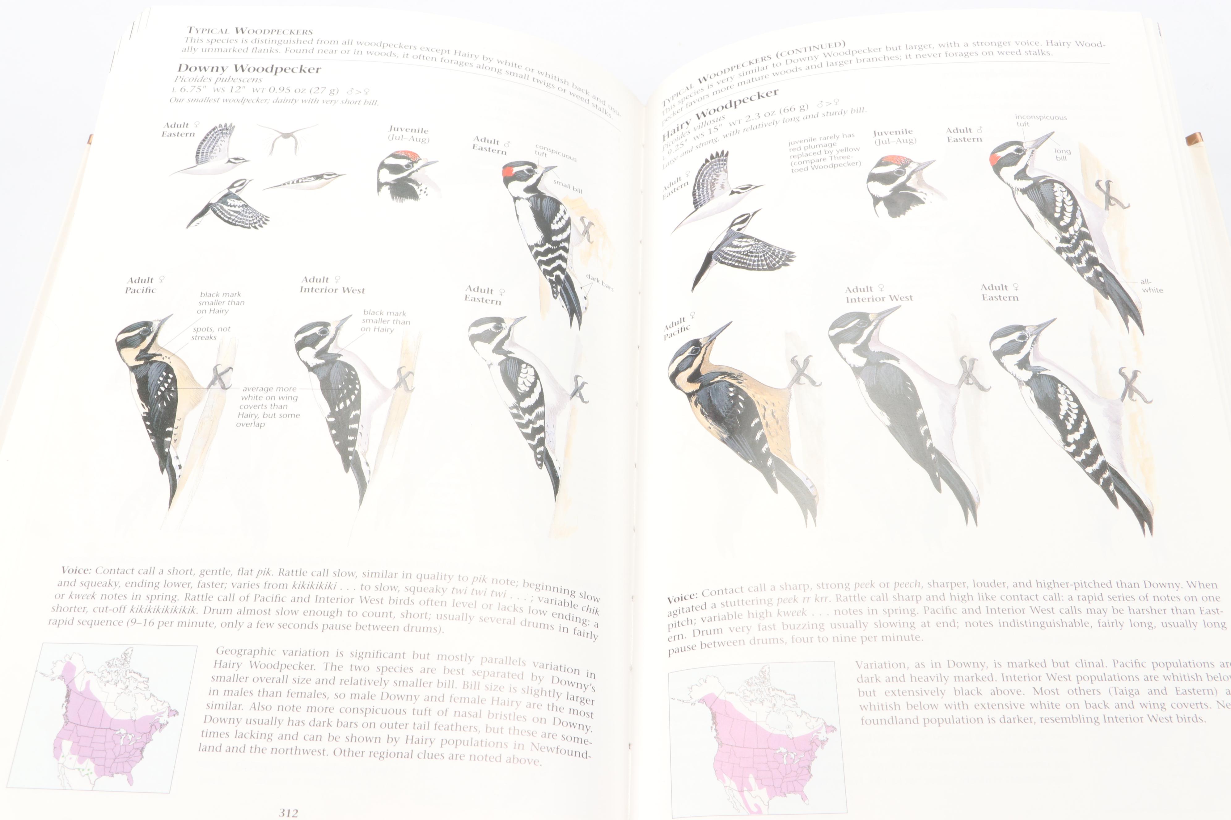 "The Sibley Guide to Birds" by David Allen Sibley and More Bird Guide Books