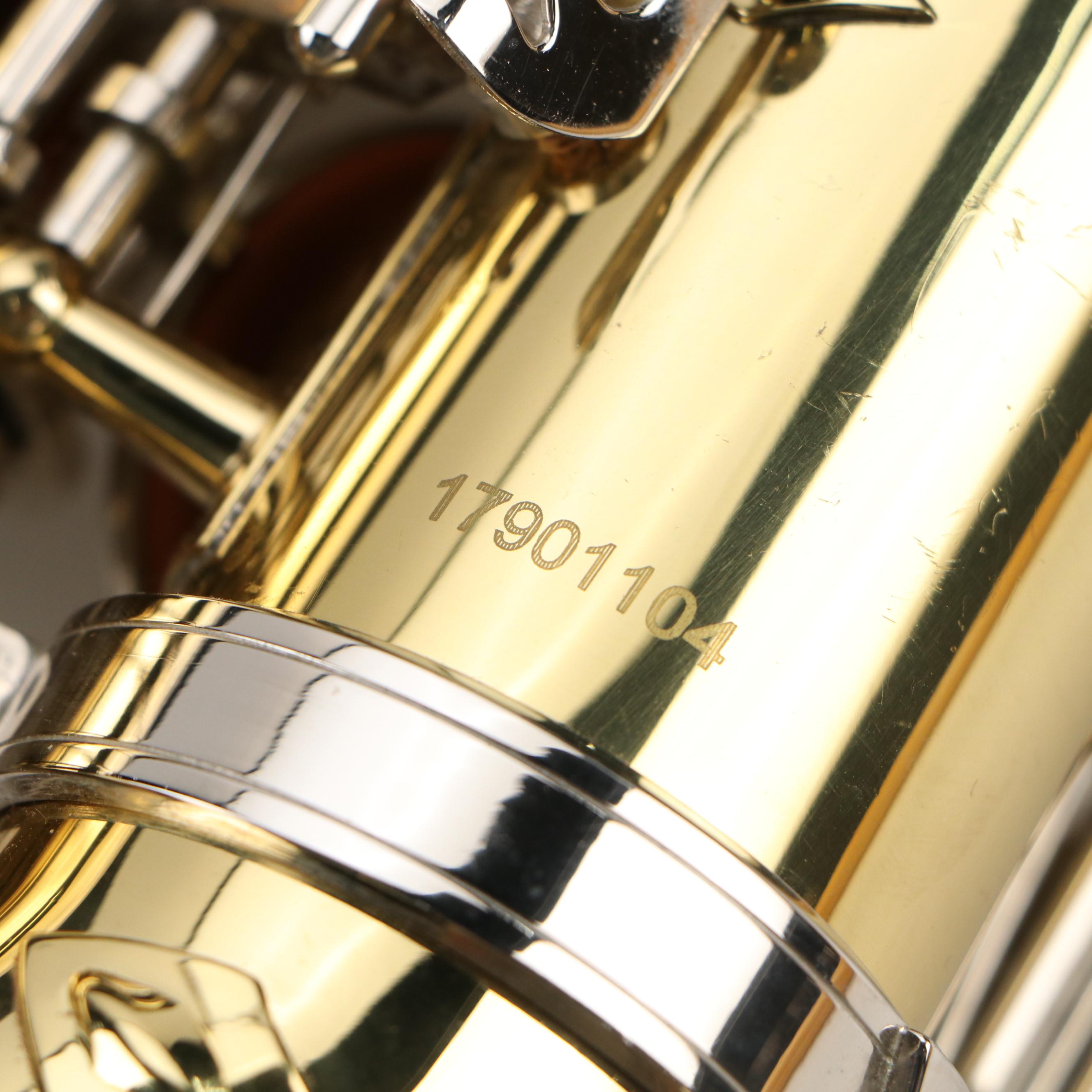 Borg Lacquered Brass and Nickle Alto Saxophone with Padded Vinyl Travel Case