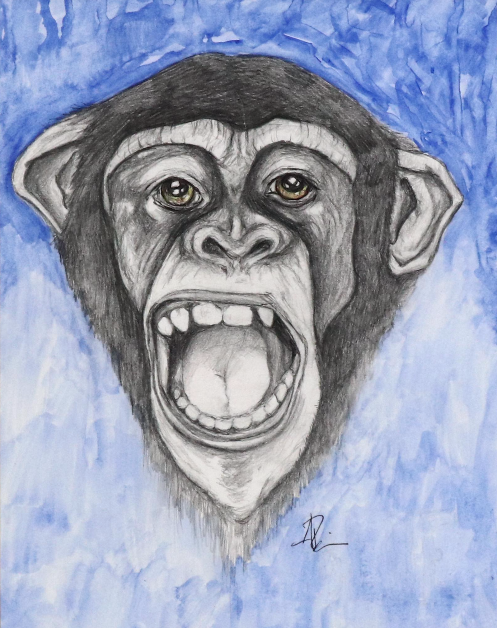 Mixed Media Drawing of Monkey, 21st Century