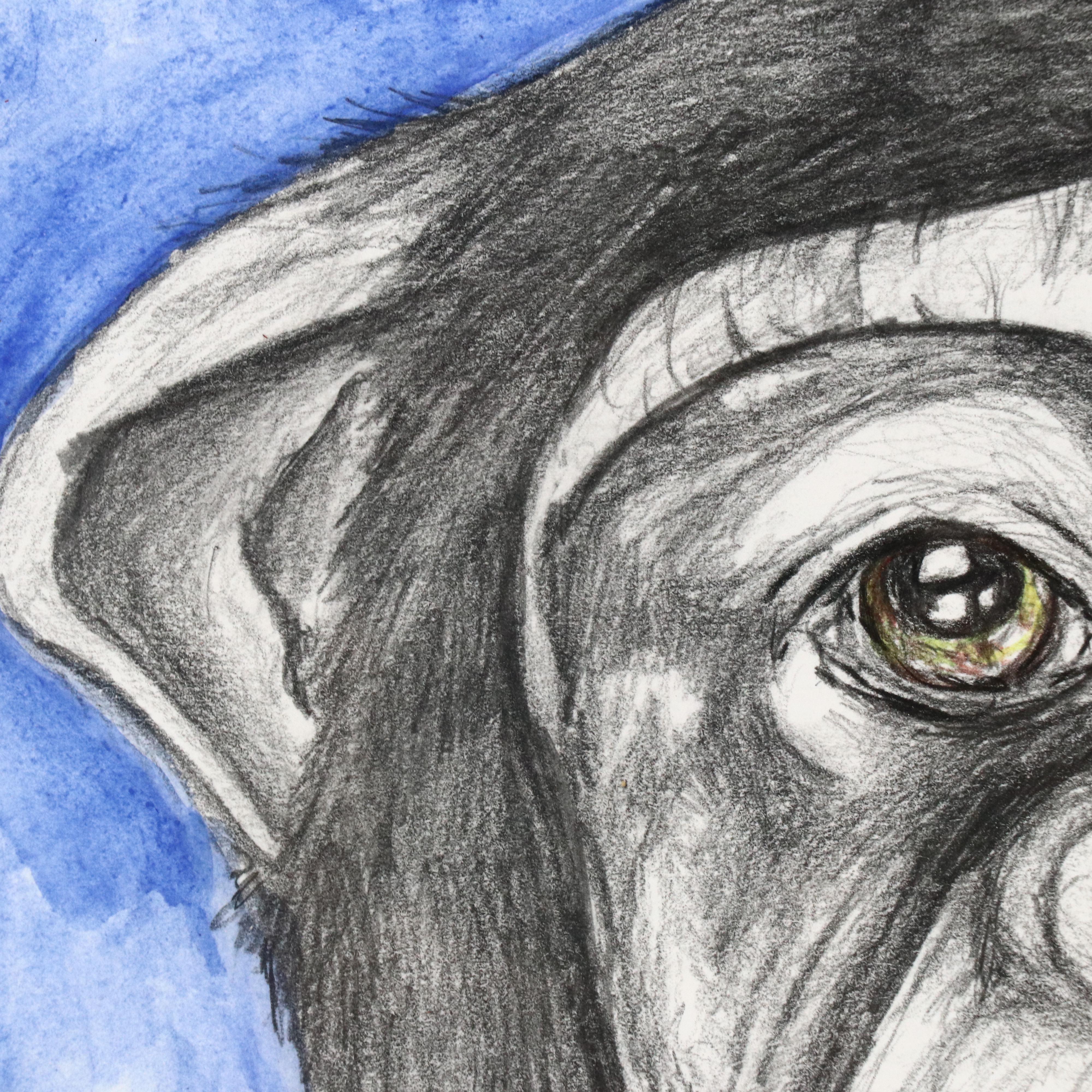 Mixed Media Drawing of Monkey, 21st Century