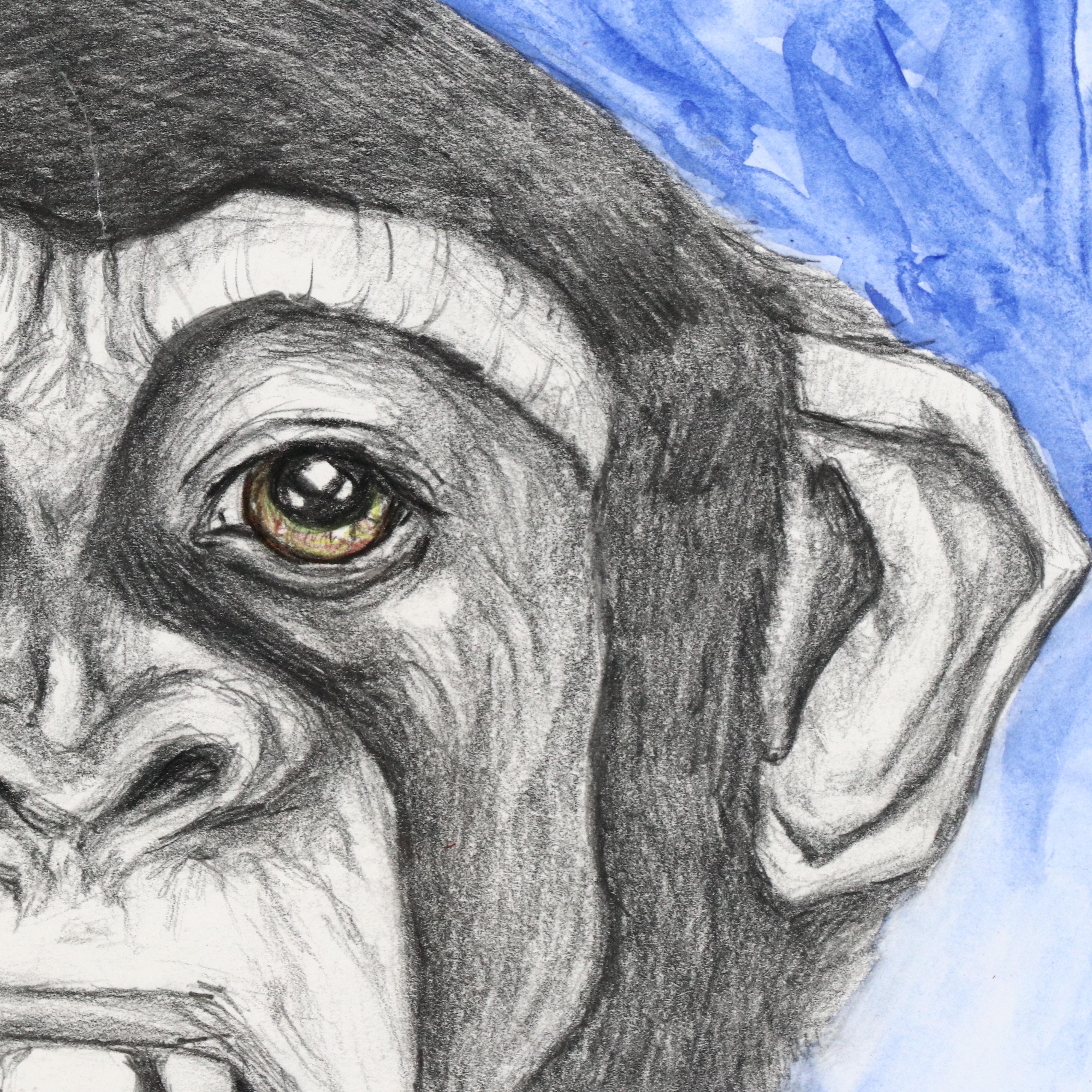 Mixed Media Drawing of Monkey, 21st Century