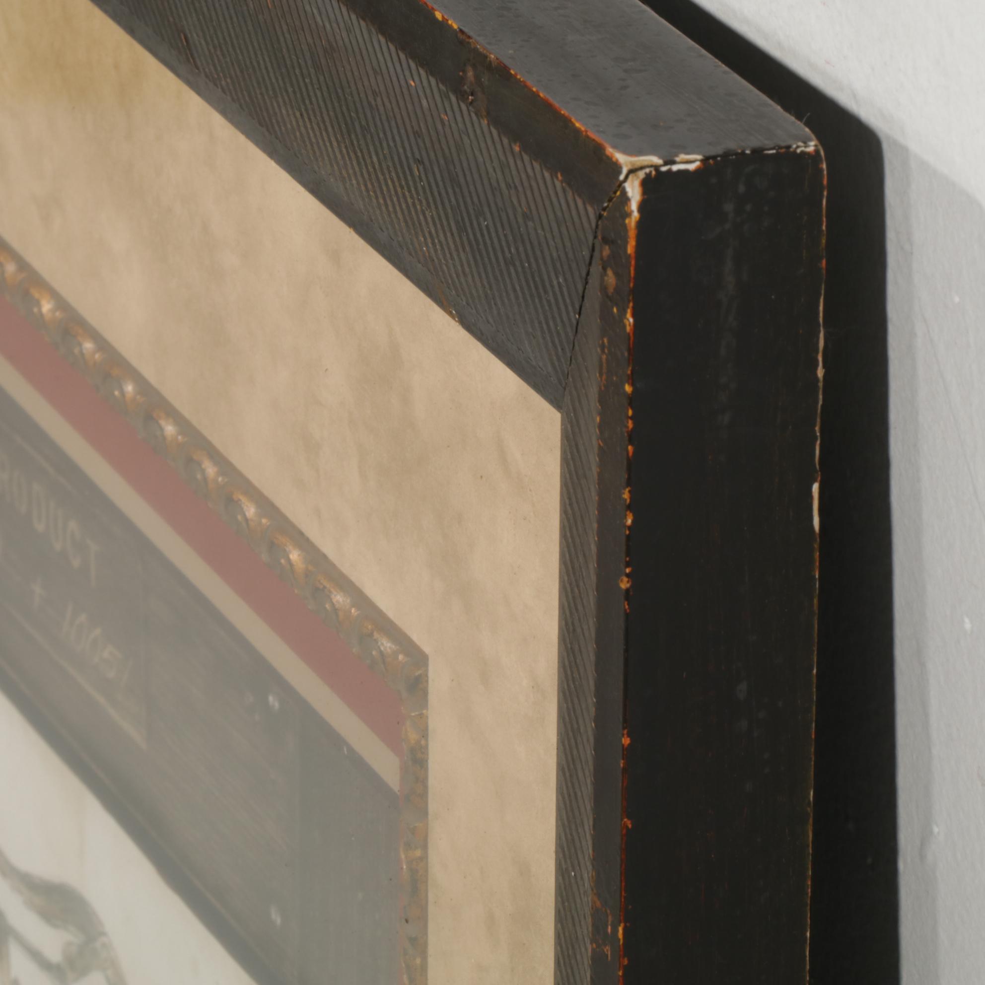 Illustrated Diagram of Corkscrew Collection I Wall Decor