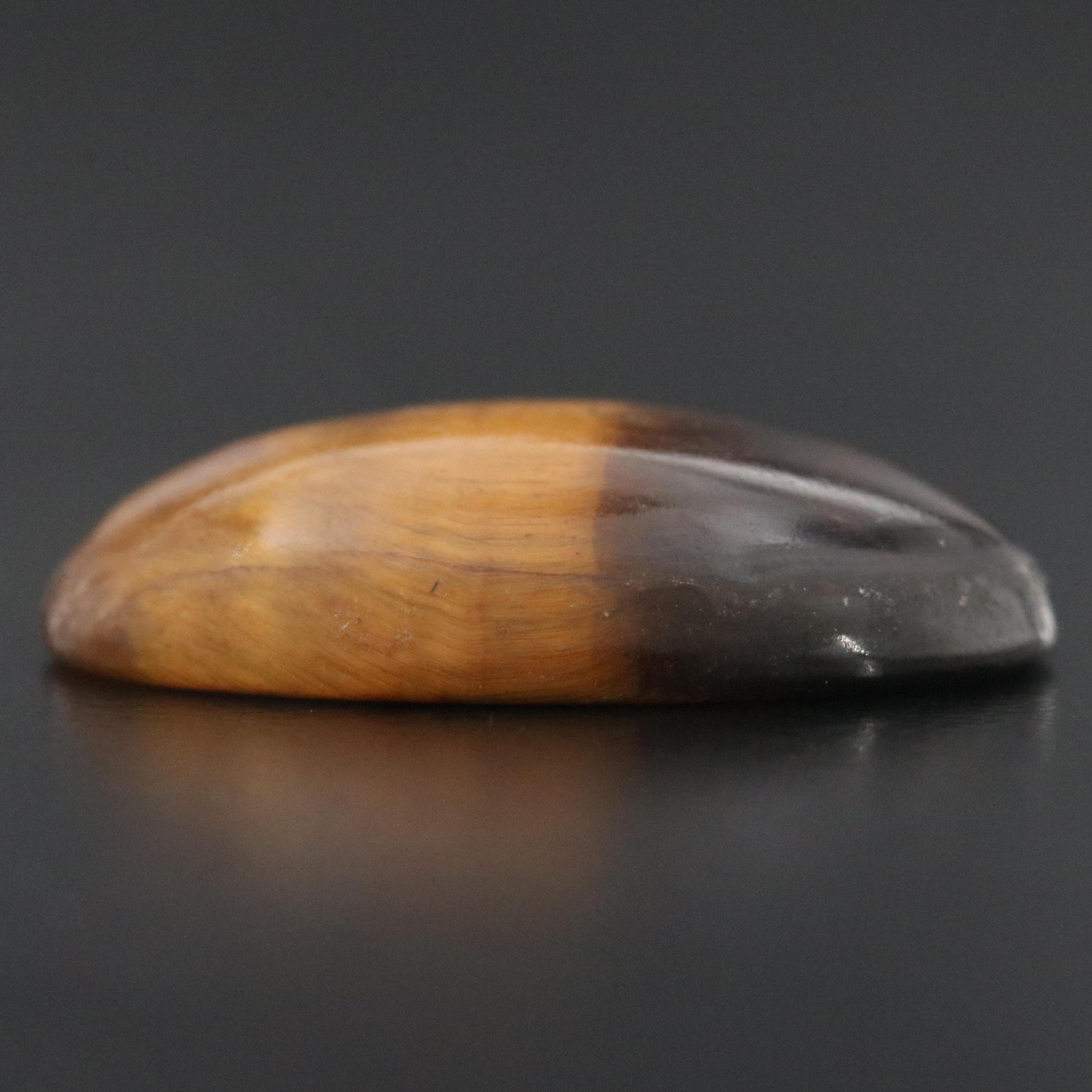 Loose Tiger's Eye